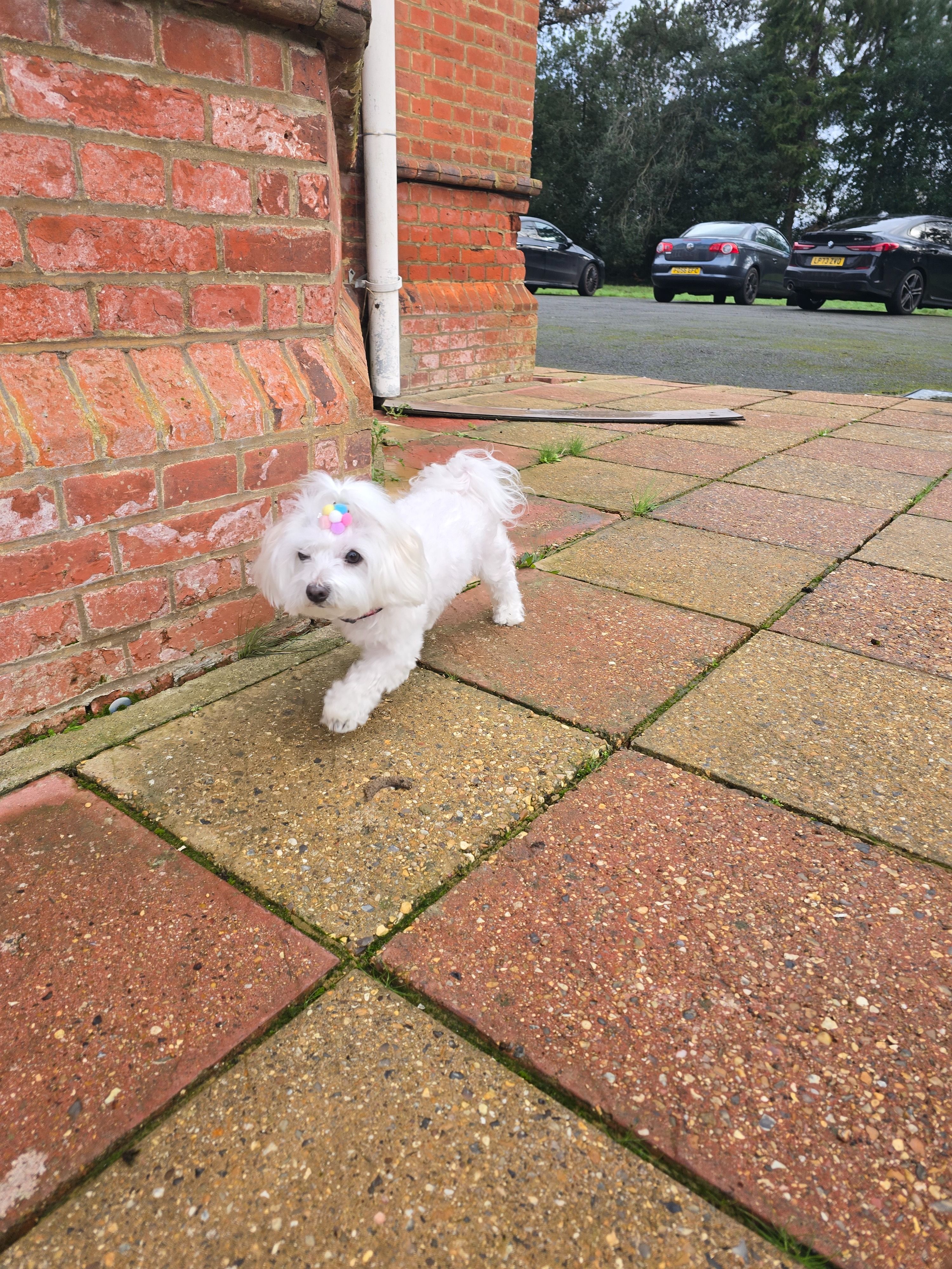 image-6