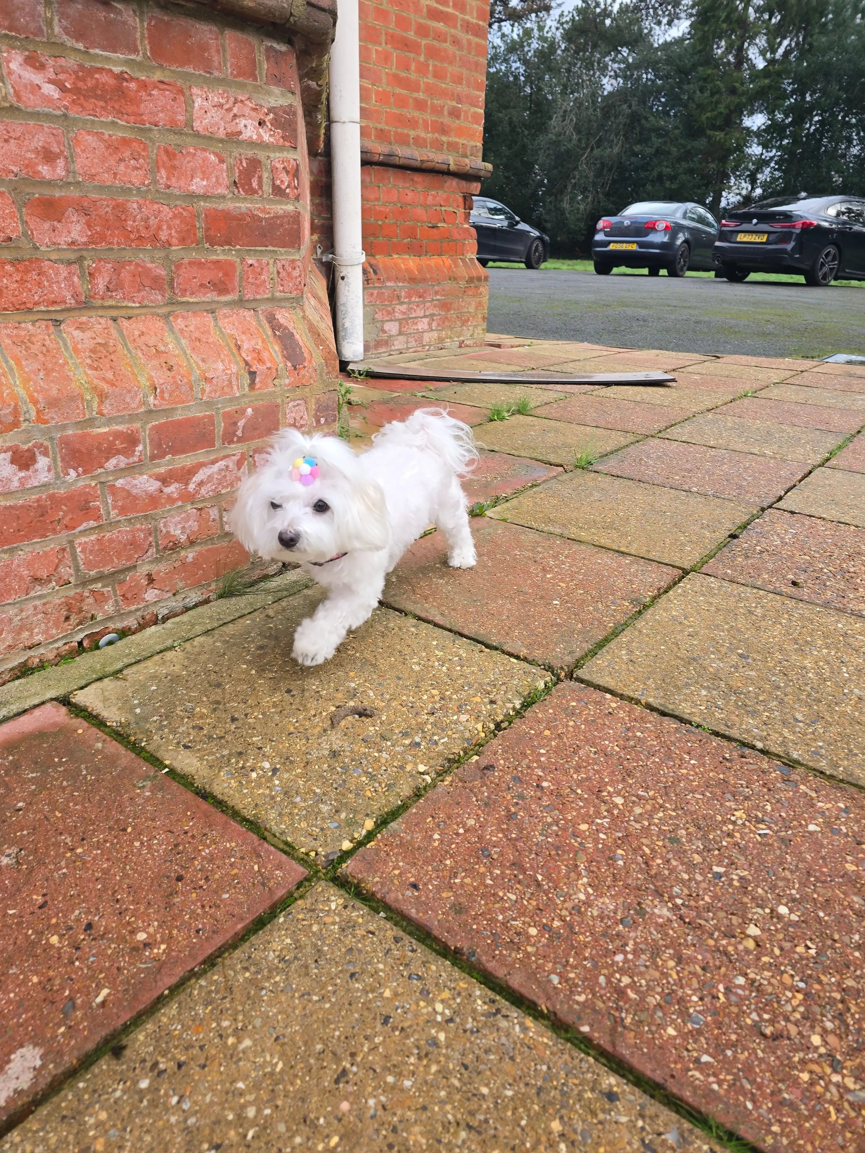 image-6
