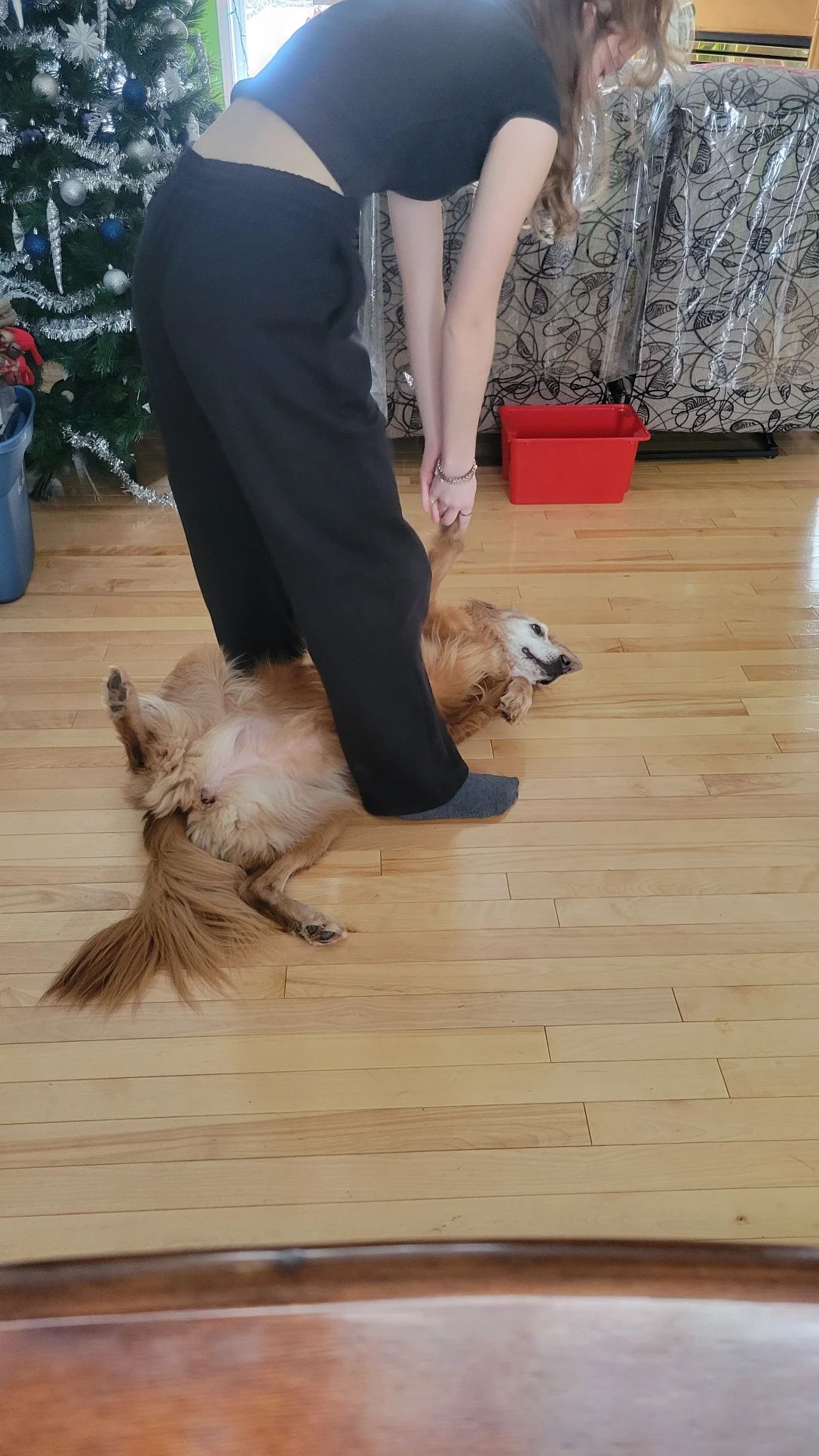 image-9