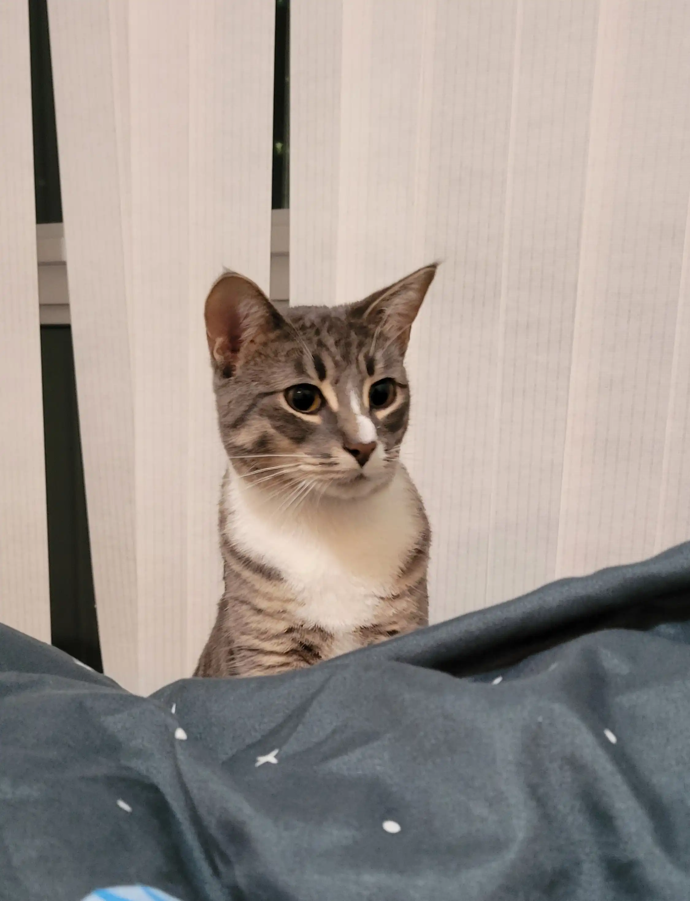 image-6