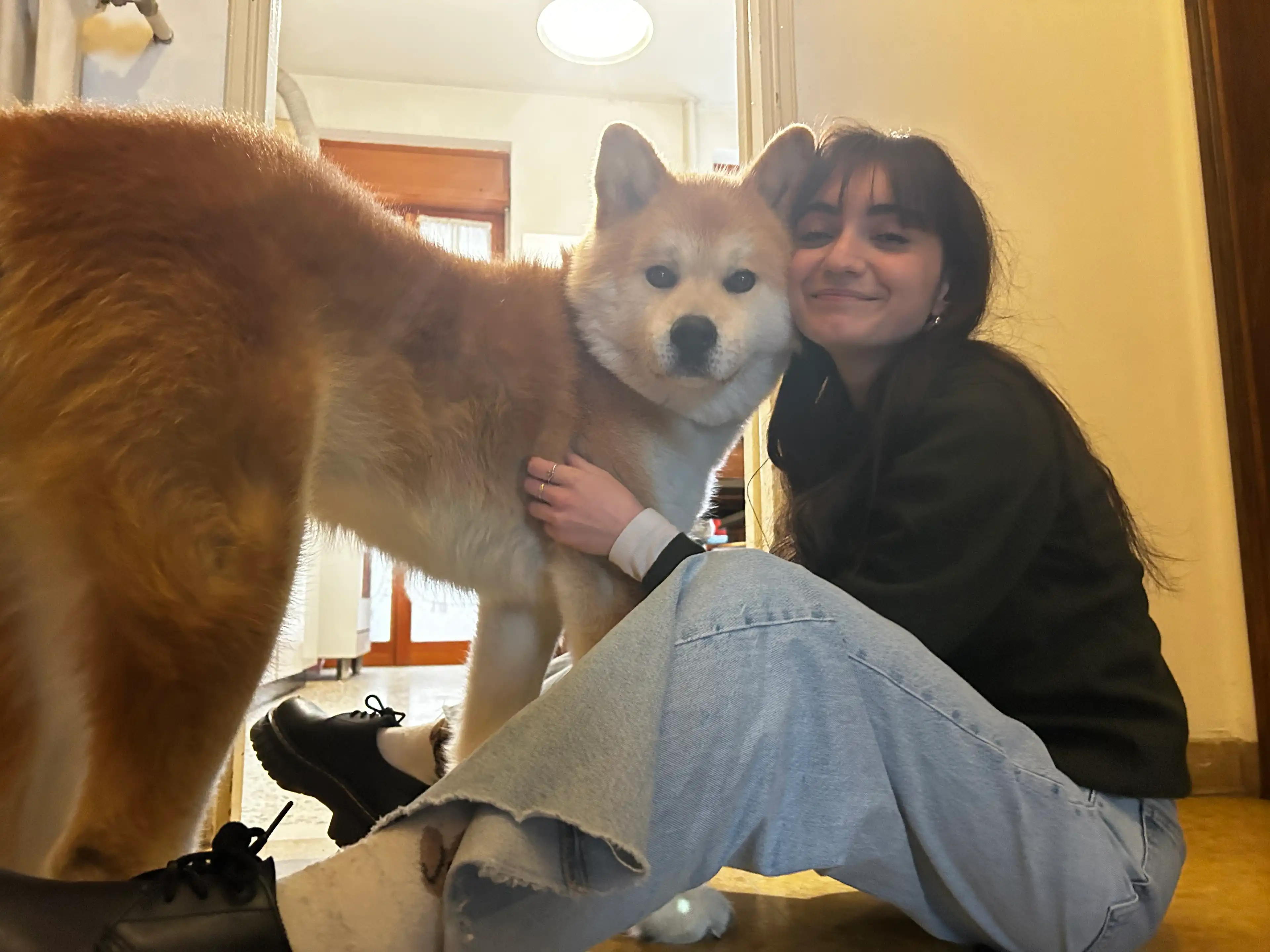 image-6