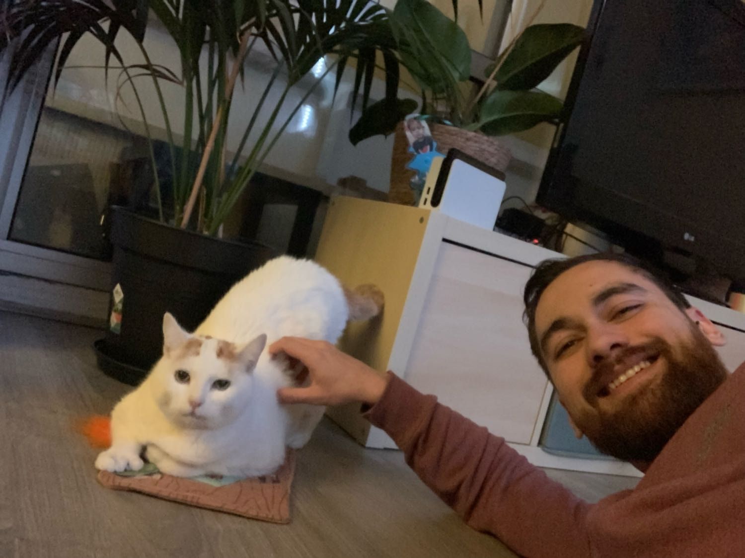 image-6
