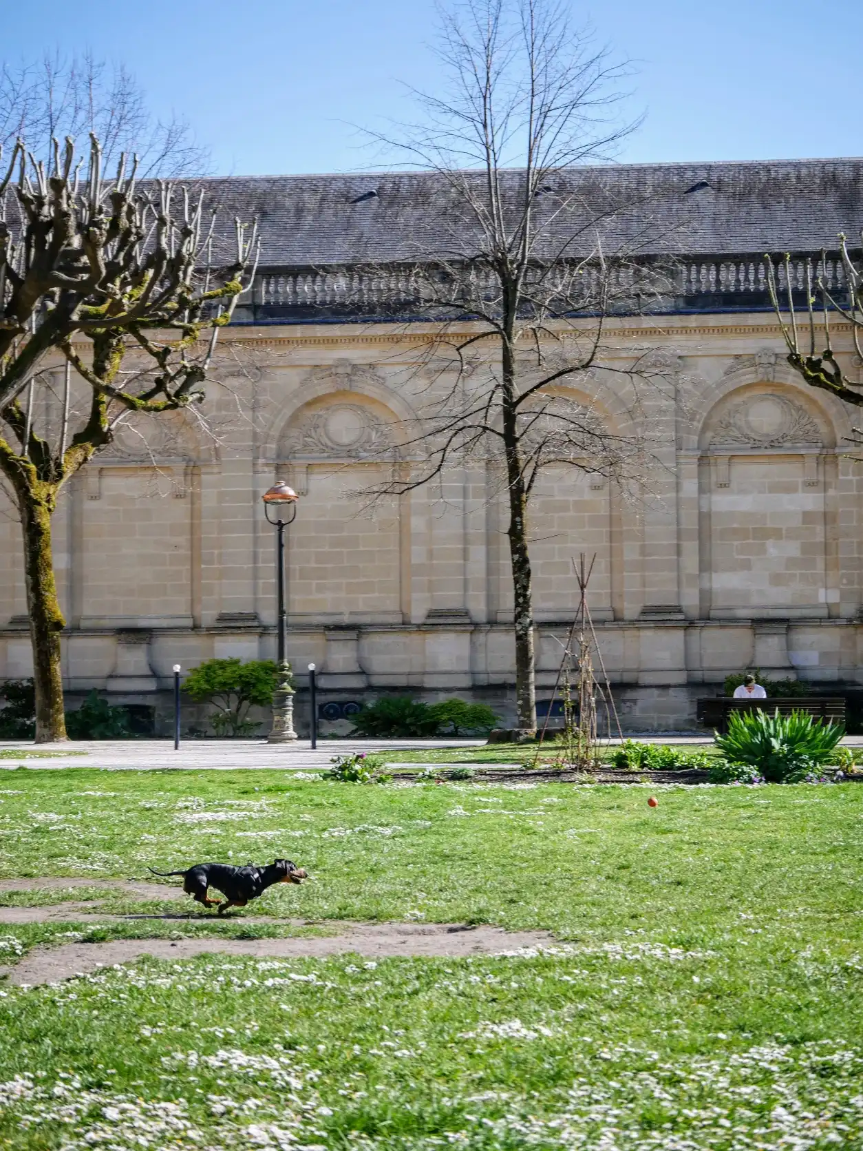 image-7