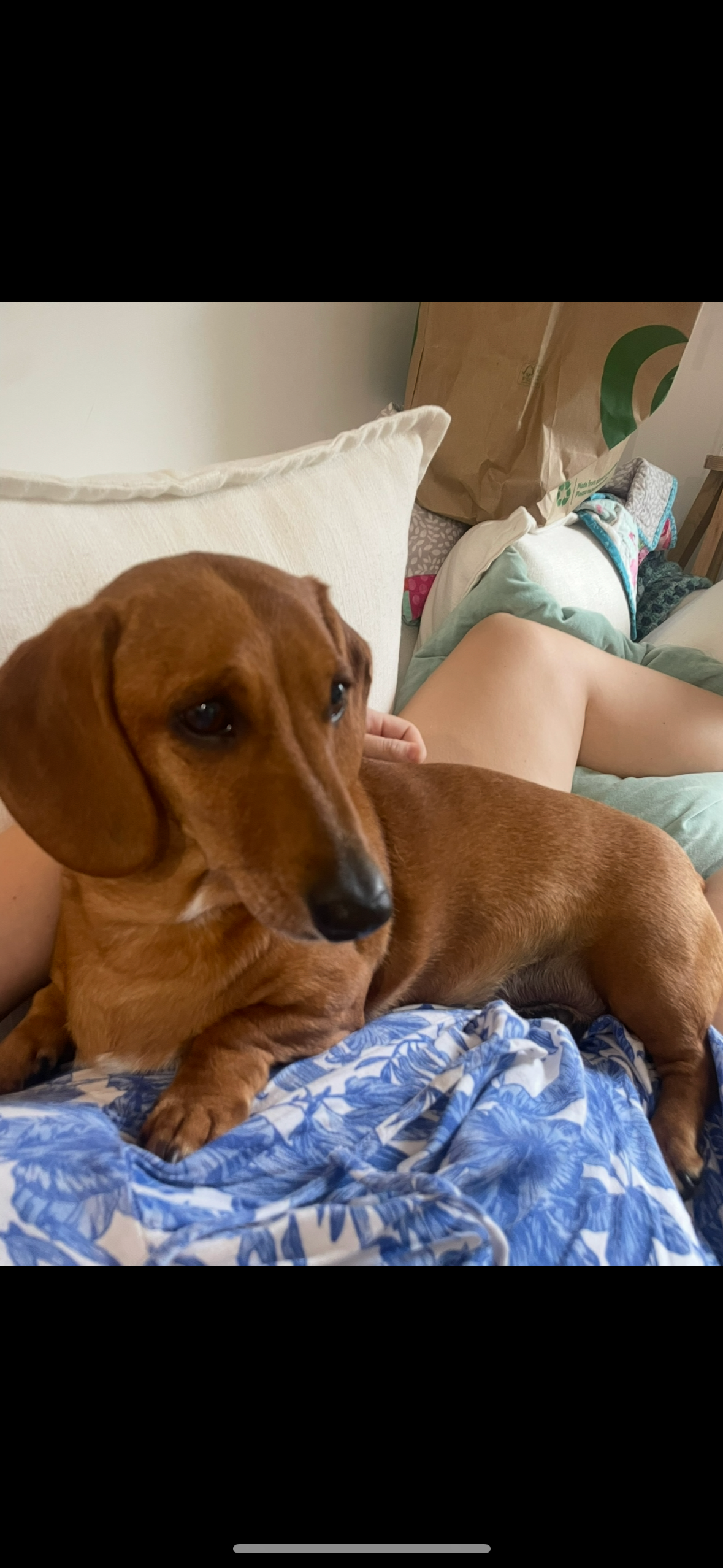 image-5