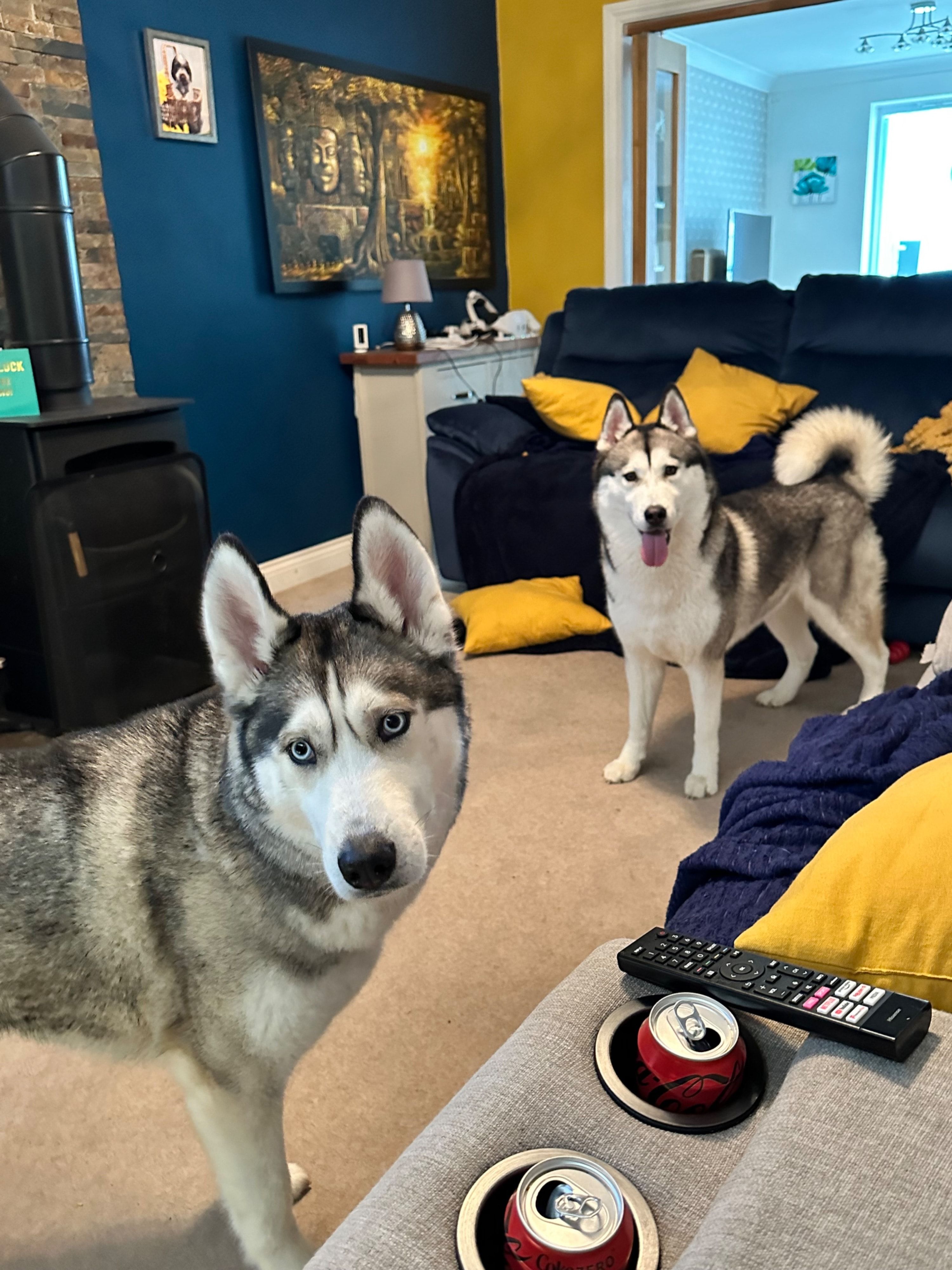 image-14