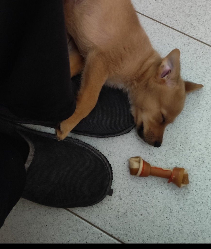 image-7