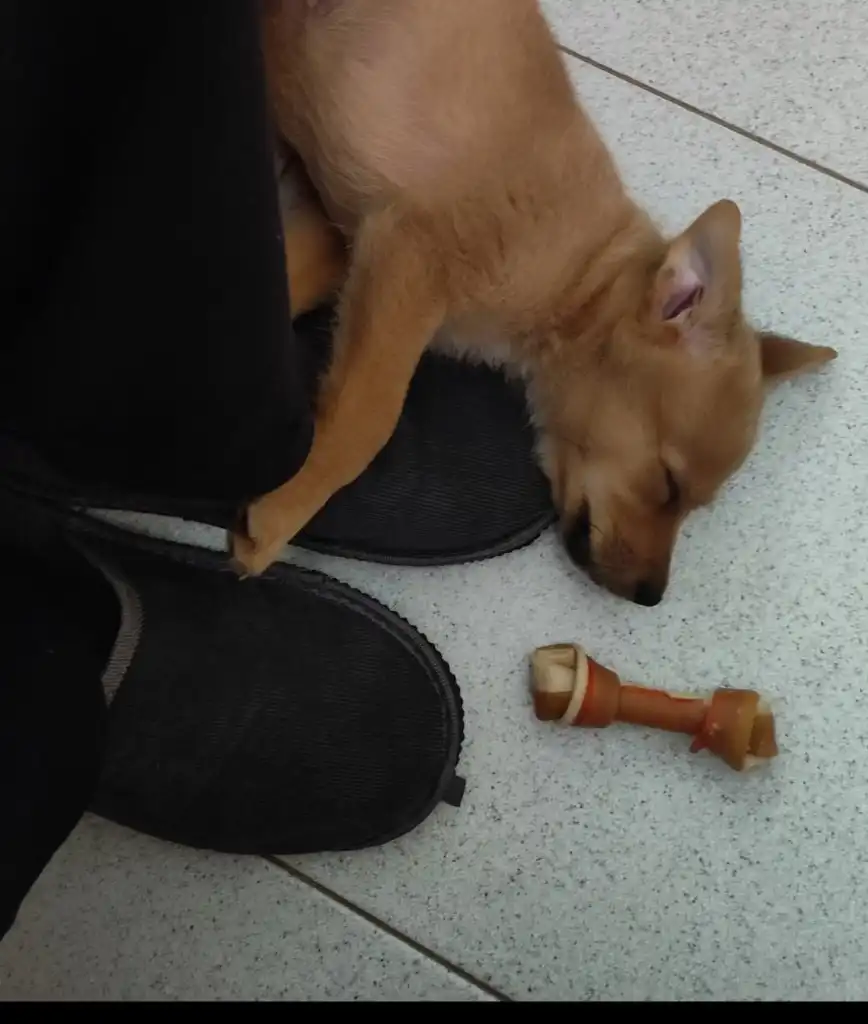 image-7