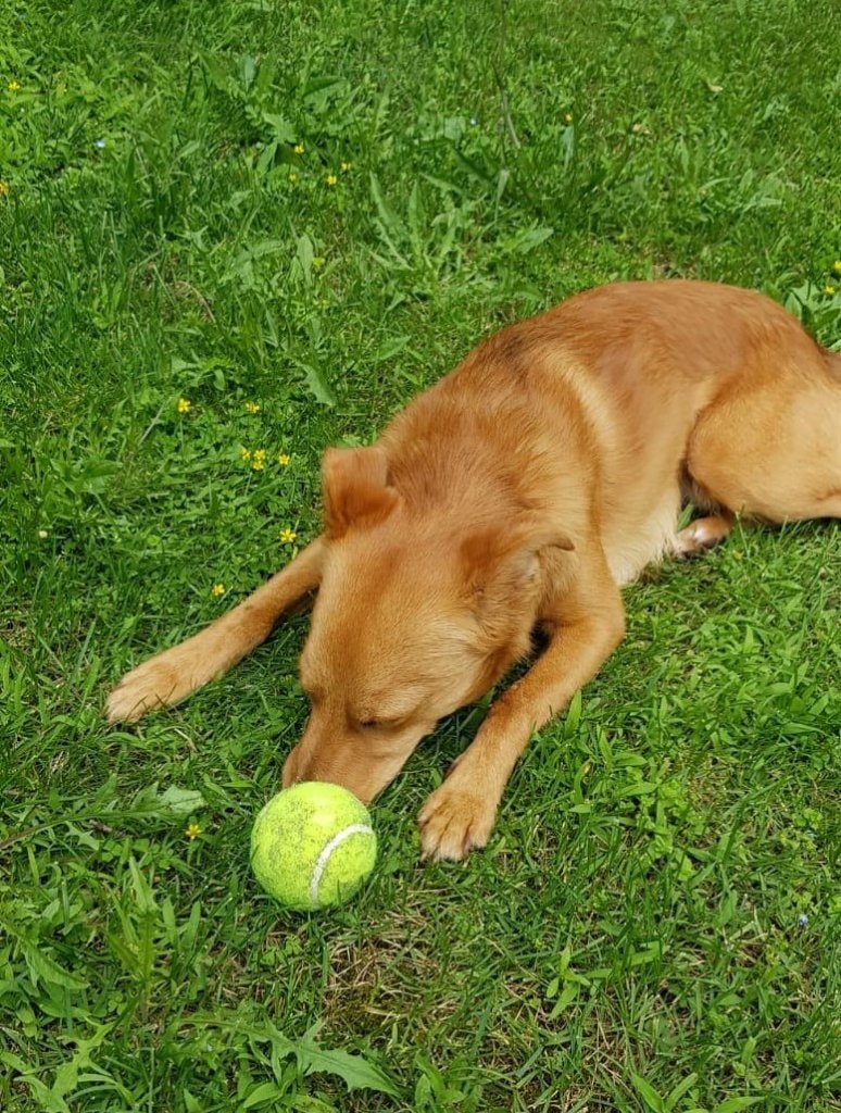 image-6