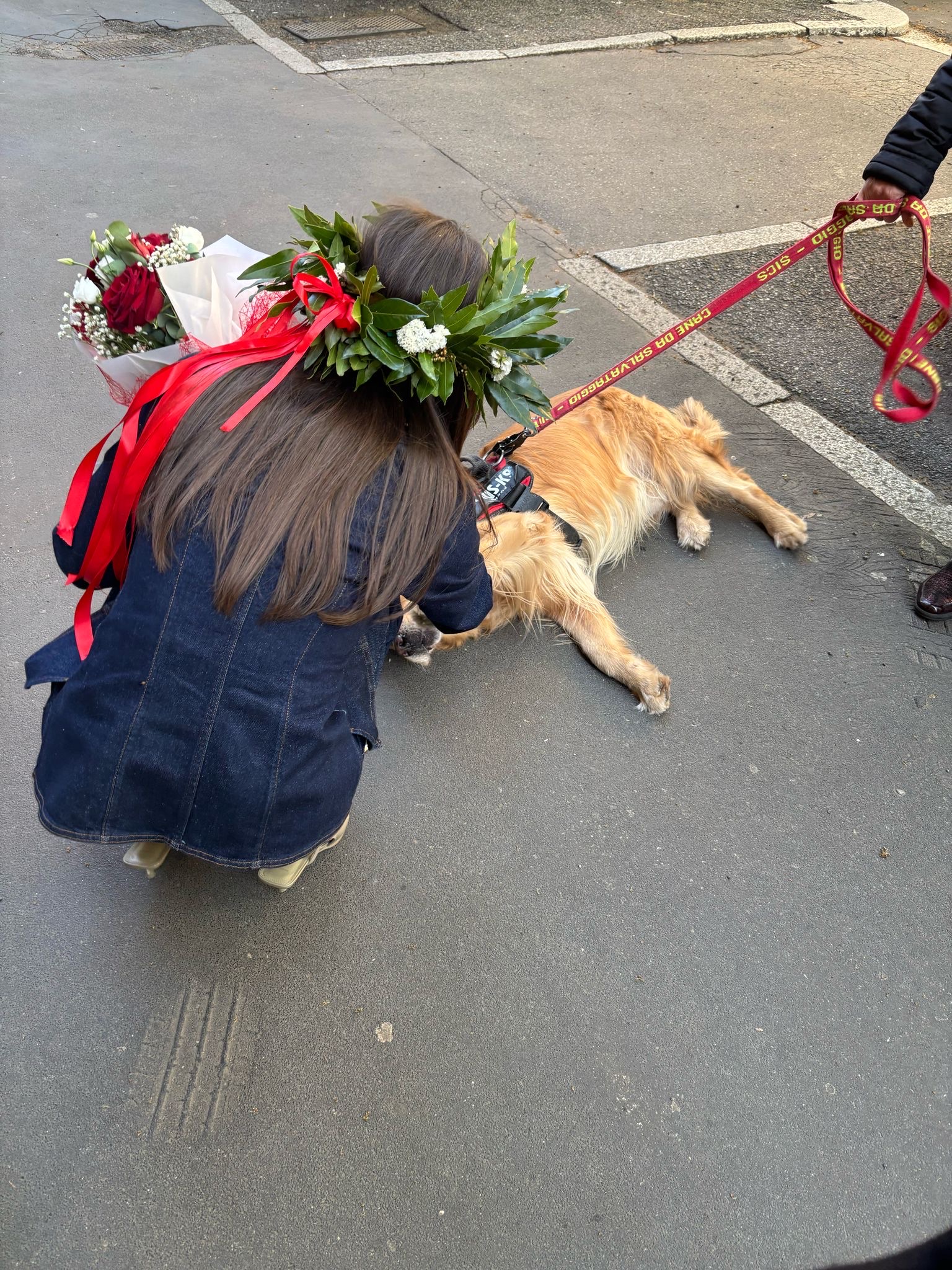 image-11