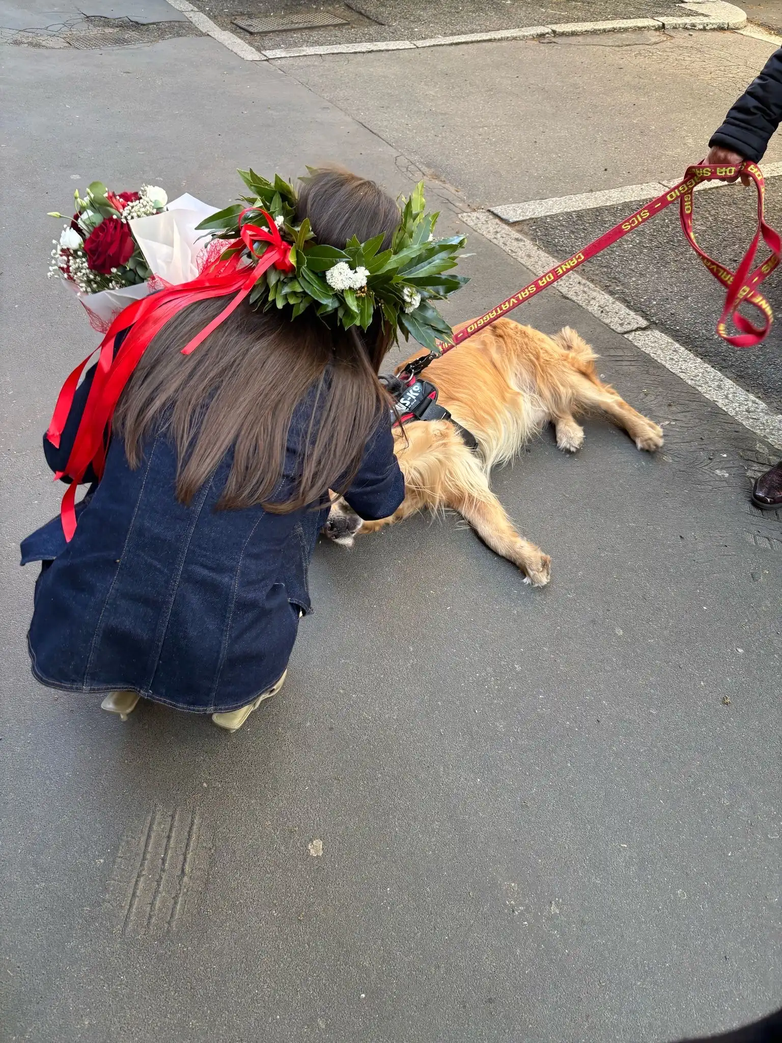 image-11