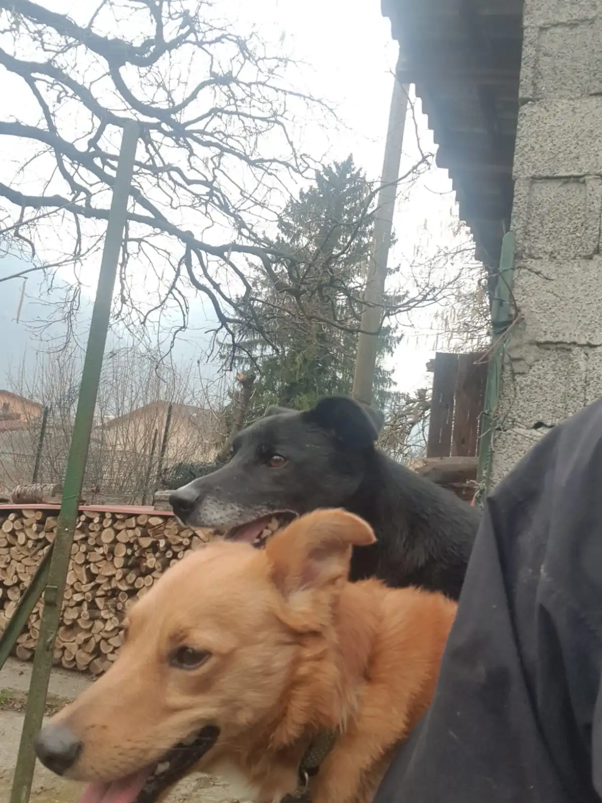 image-17