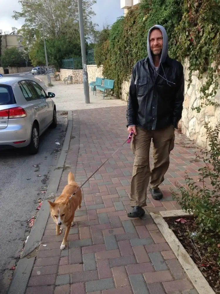 image-29