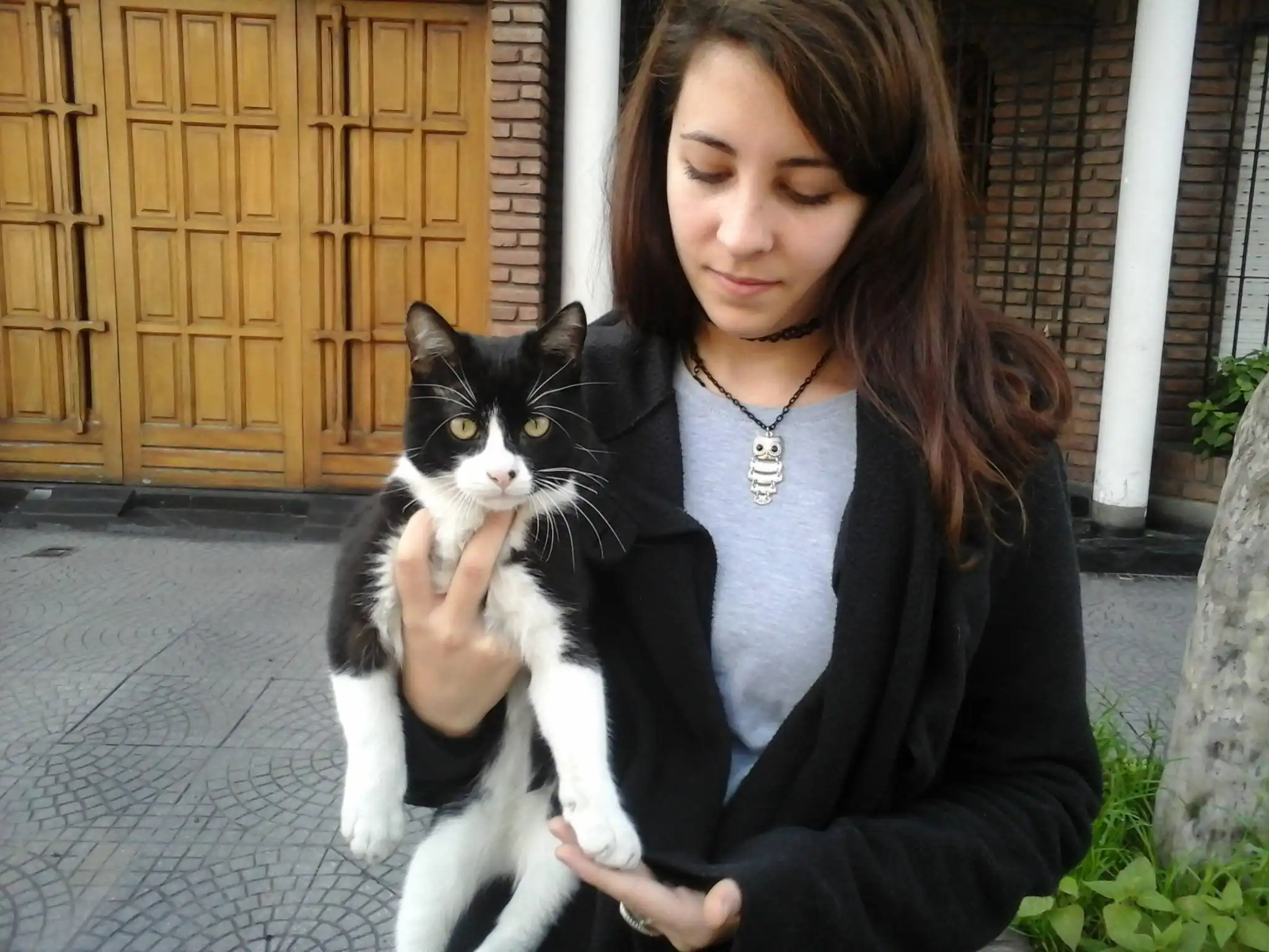 image-5