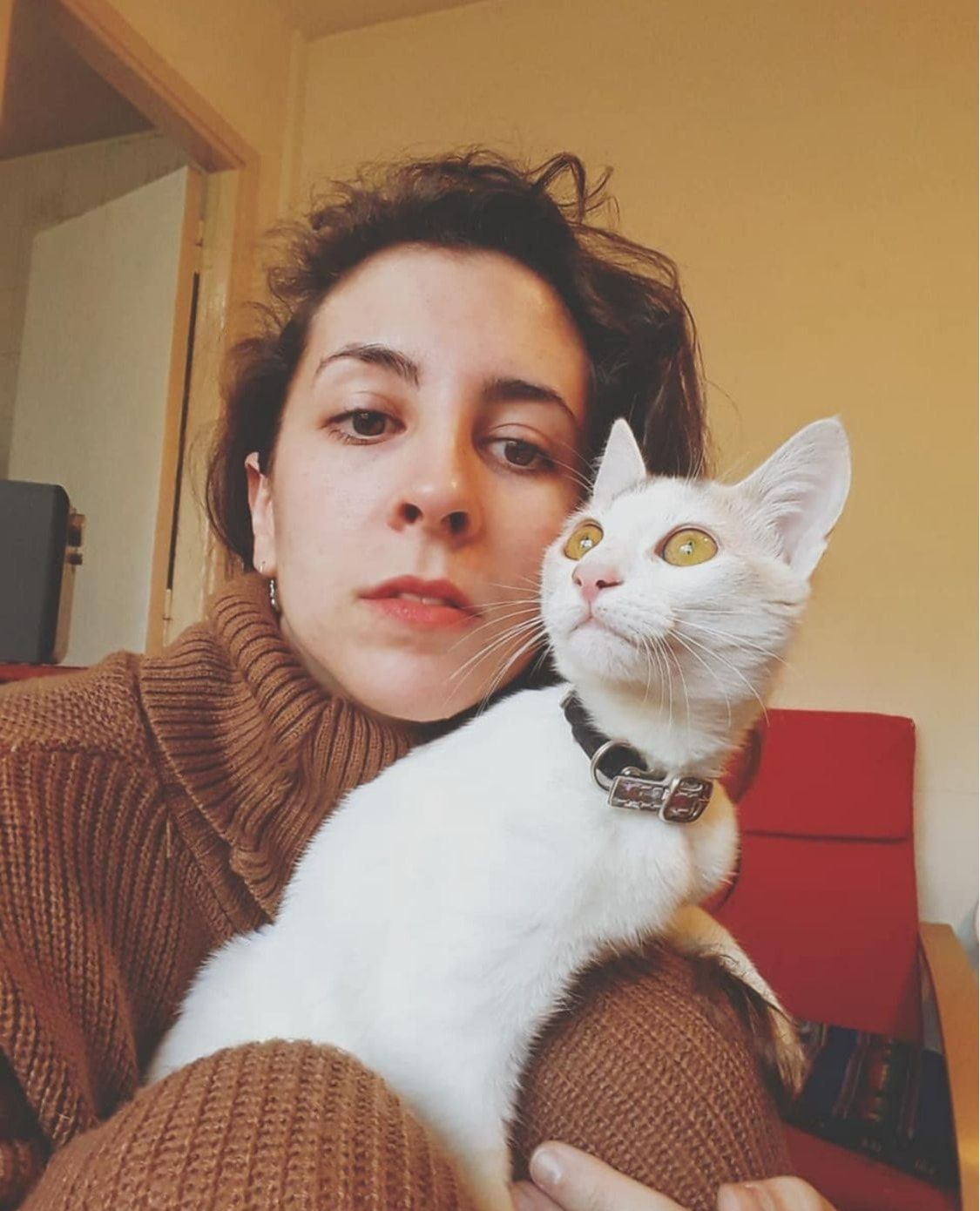 image-6