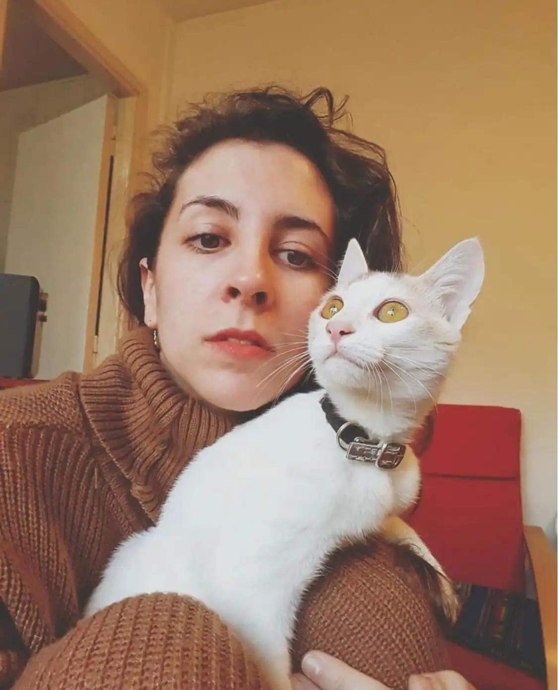 image-6