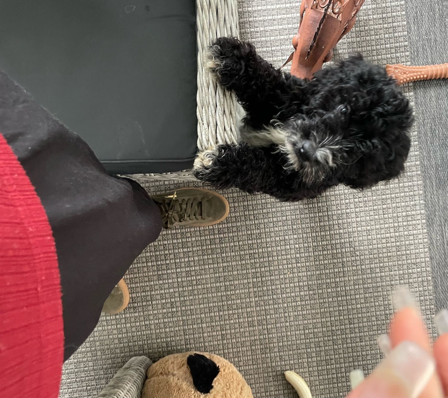 image-6