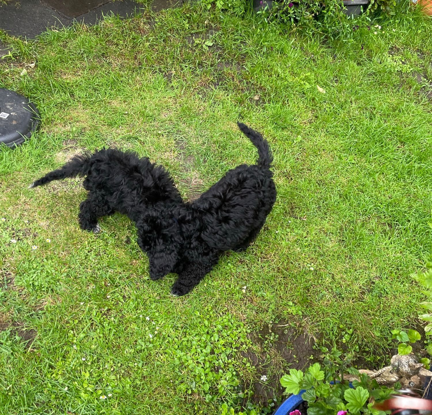 image-7