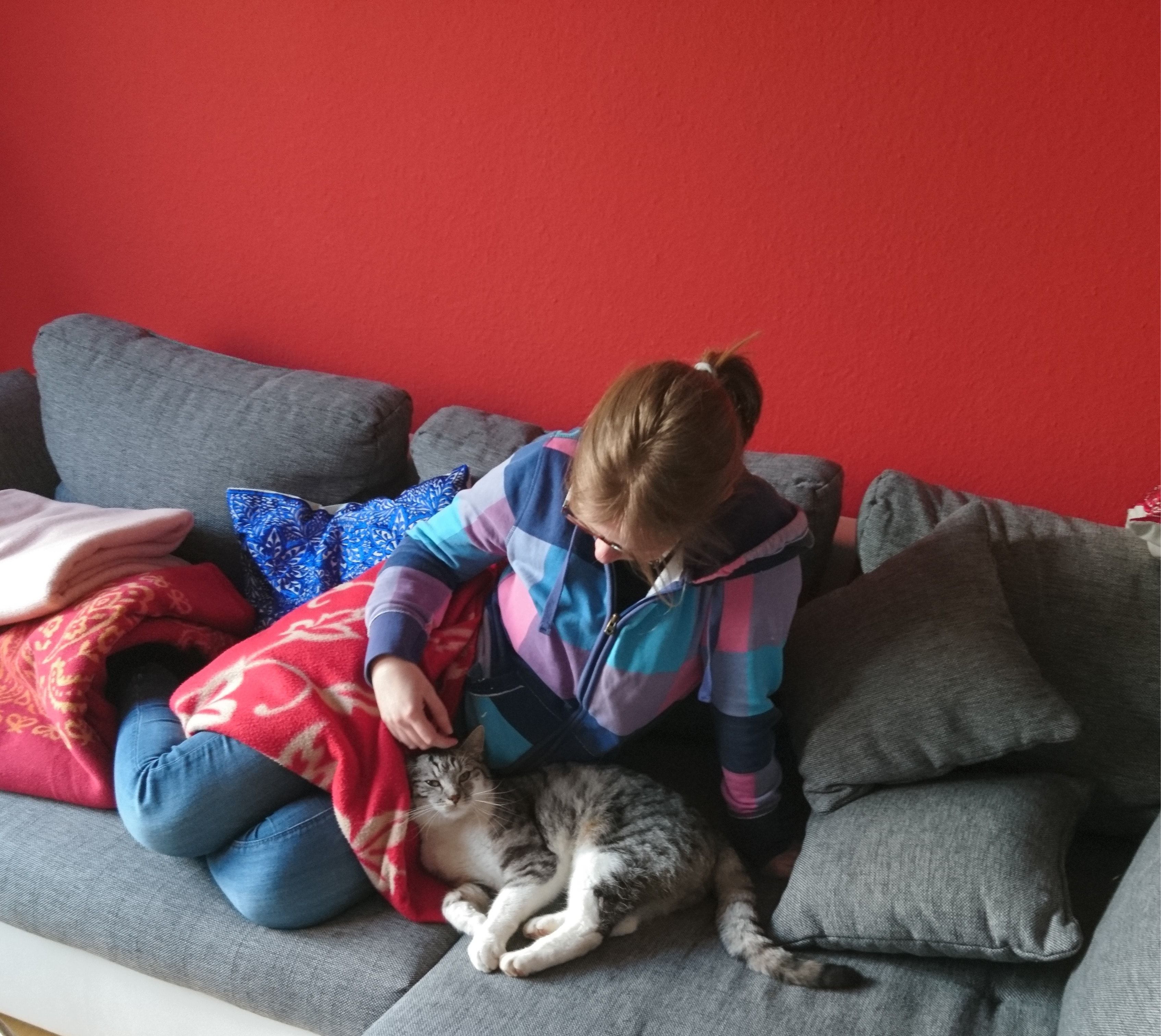 image-4