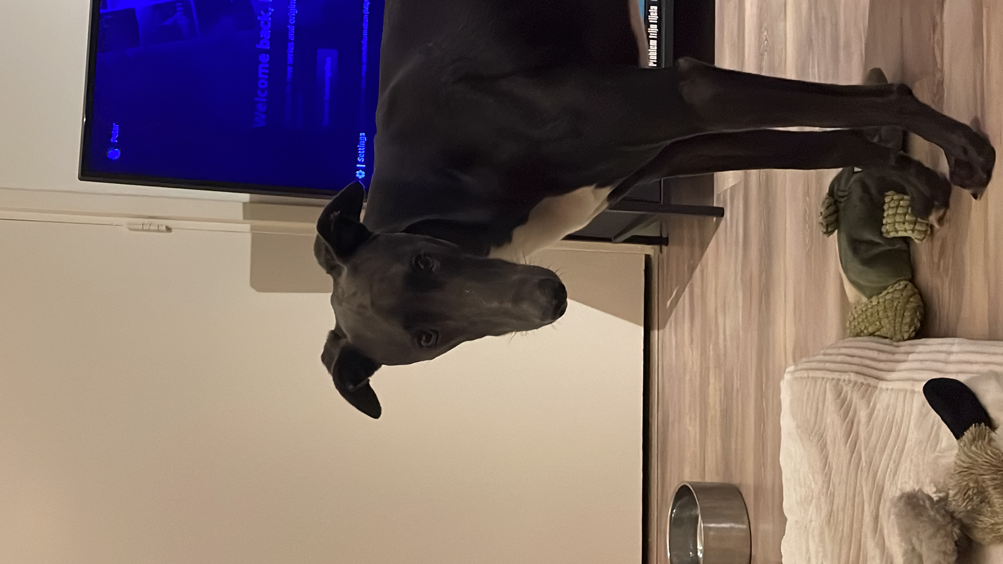 image-38