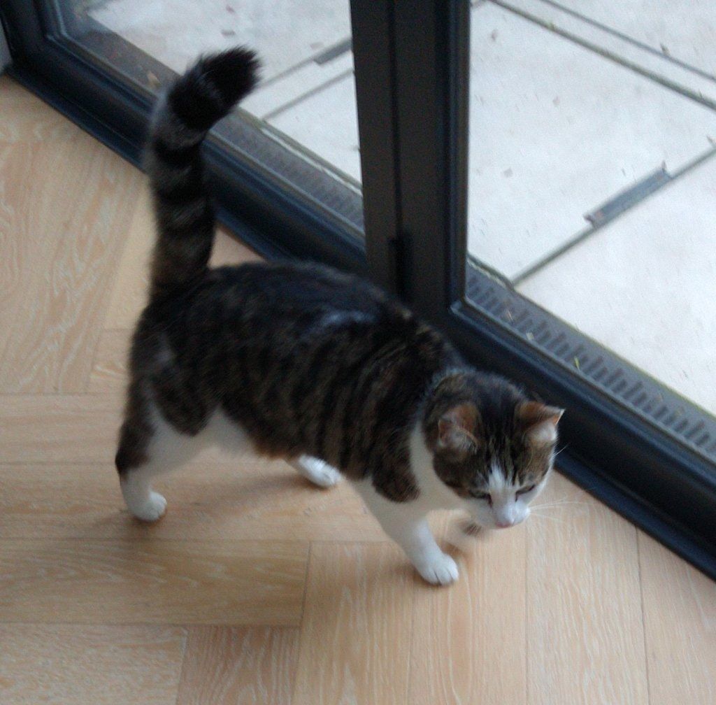 image-8