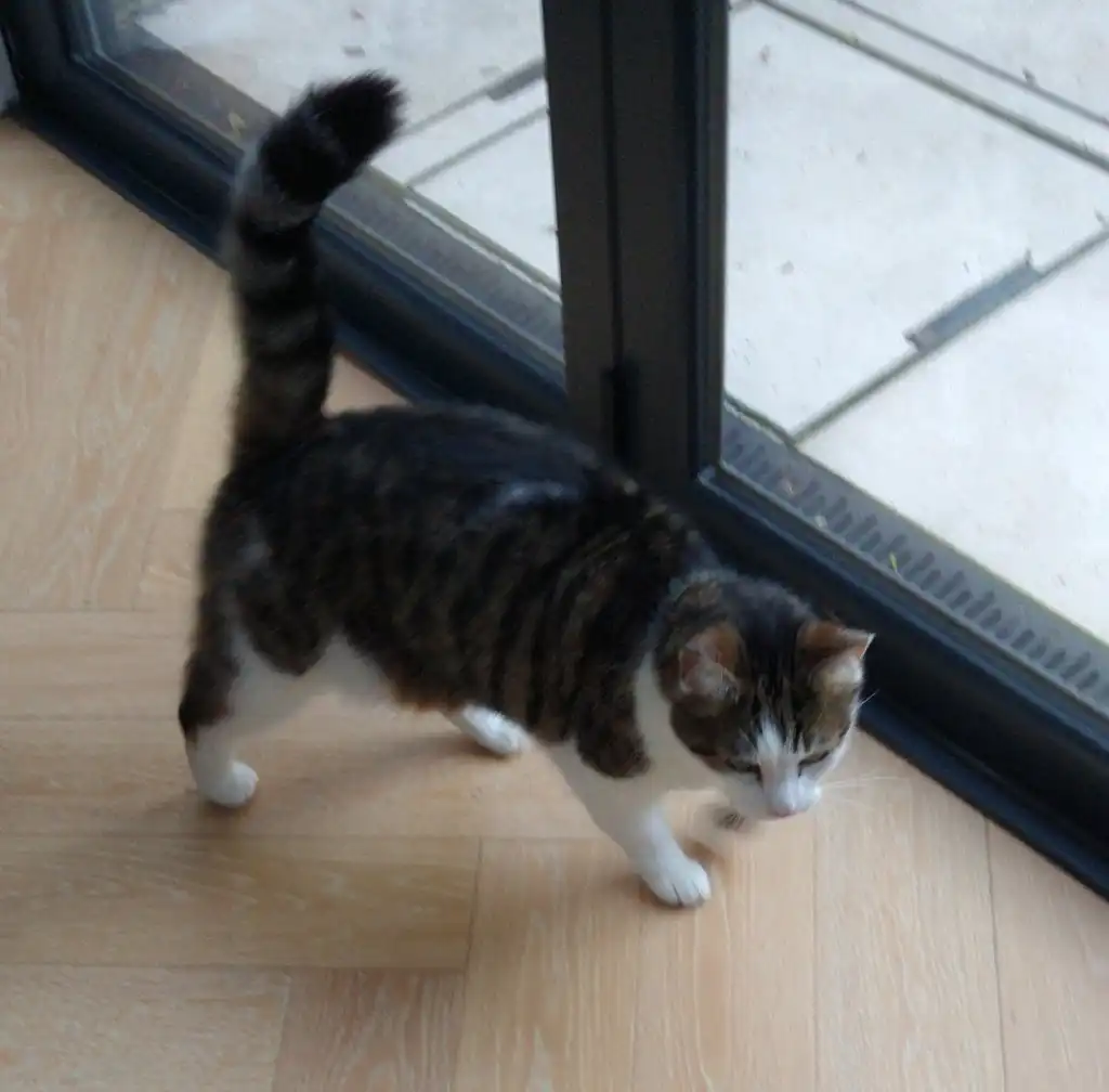 image-8