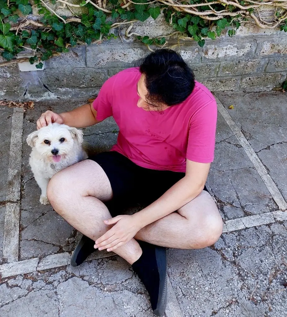 image-1