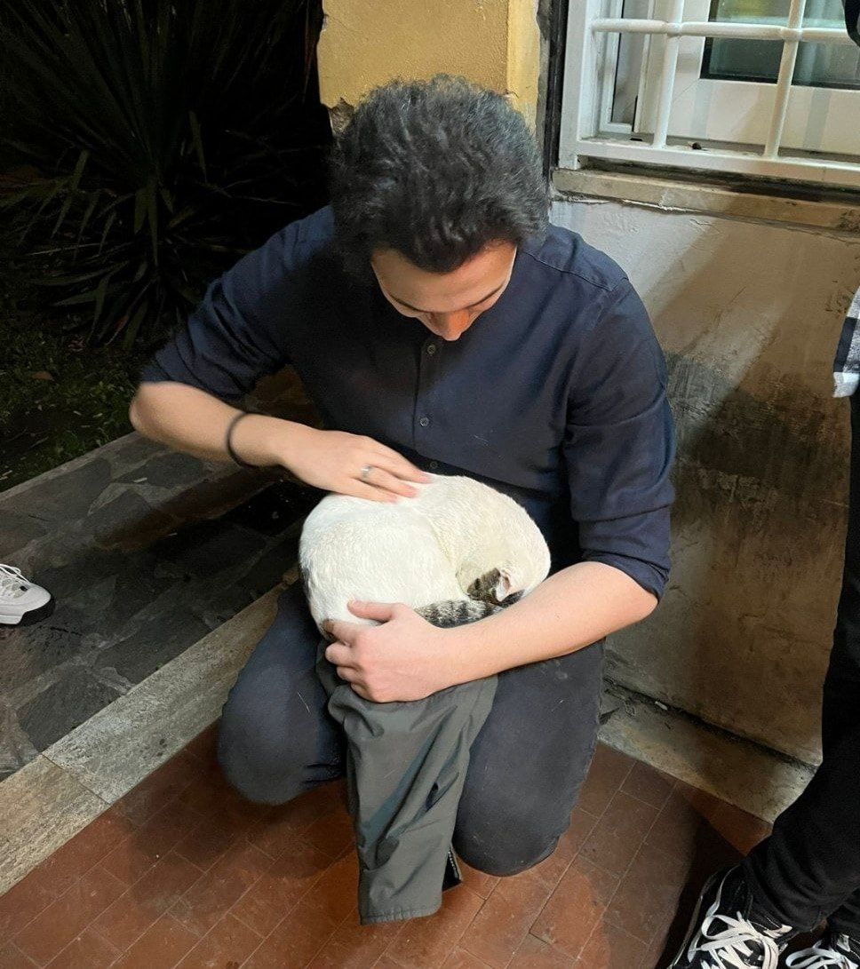 image-3