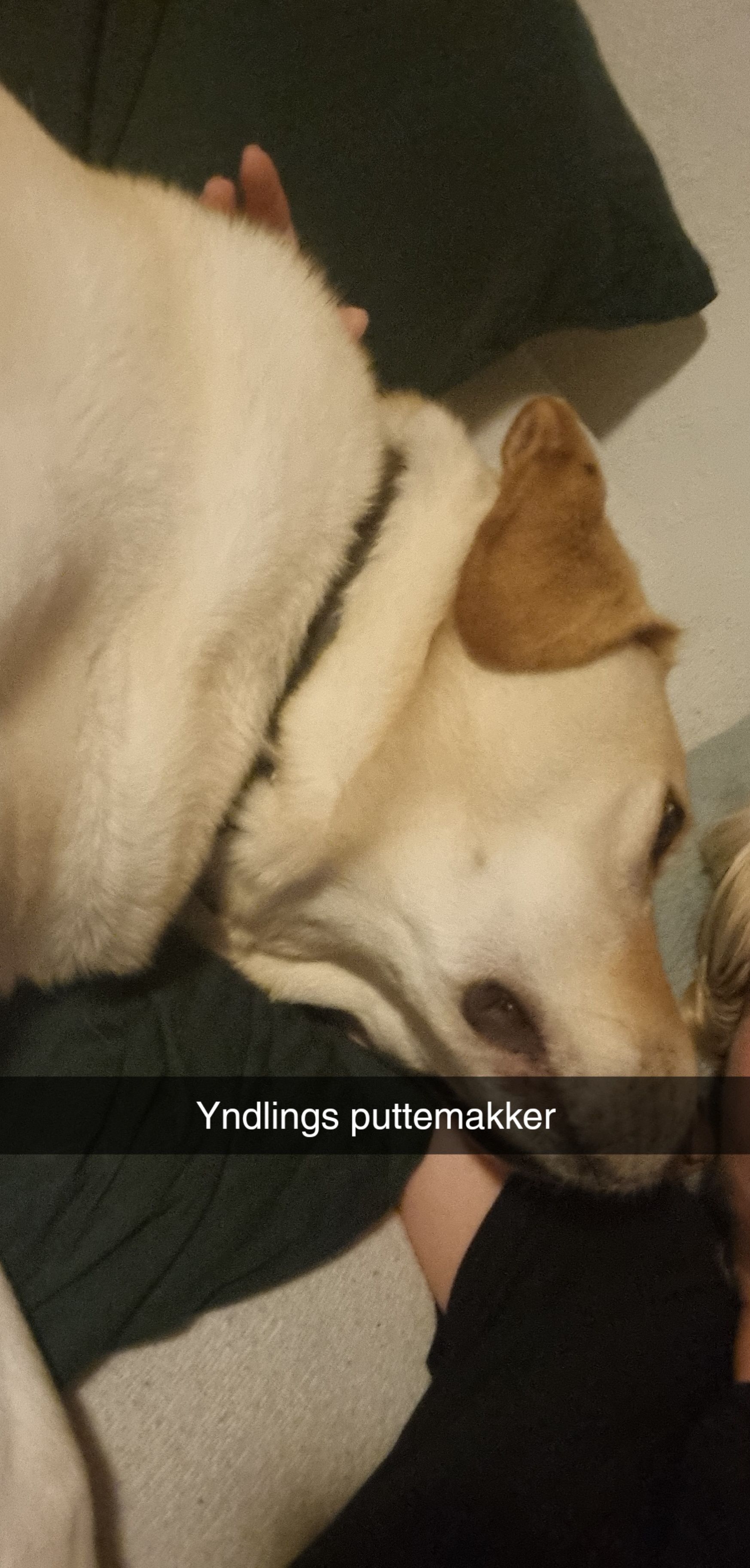 image-6