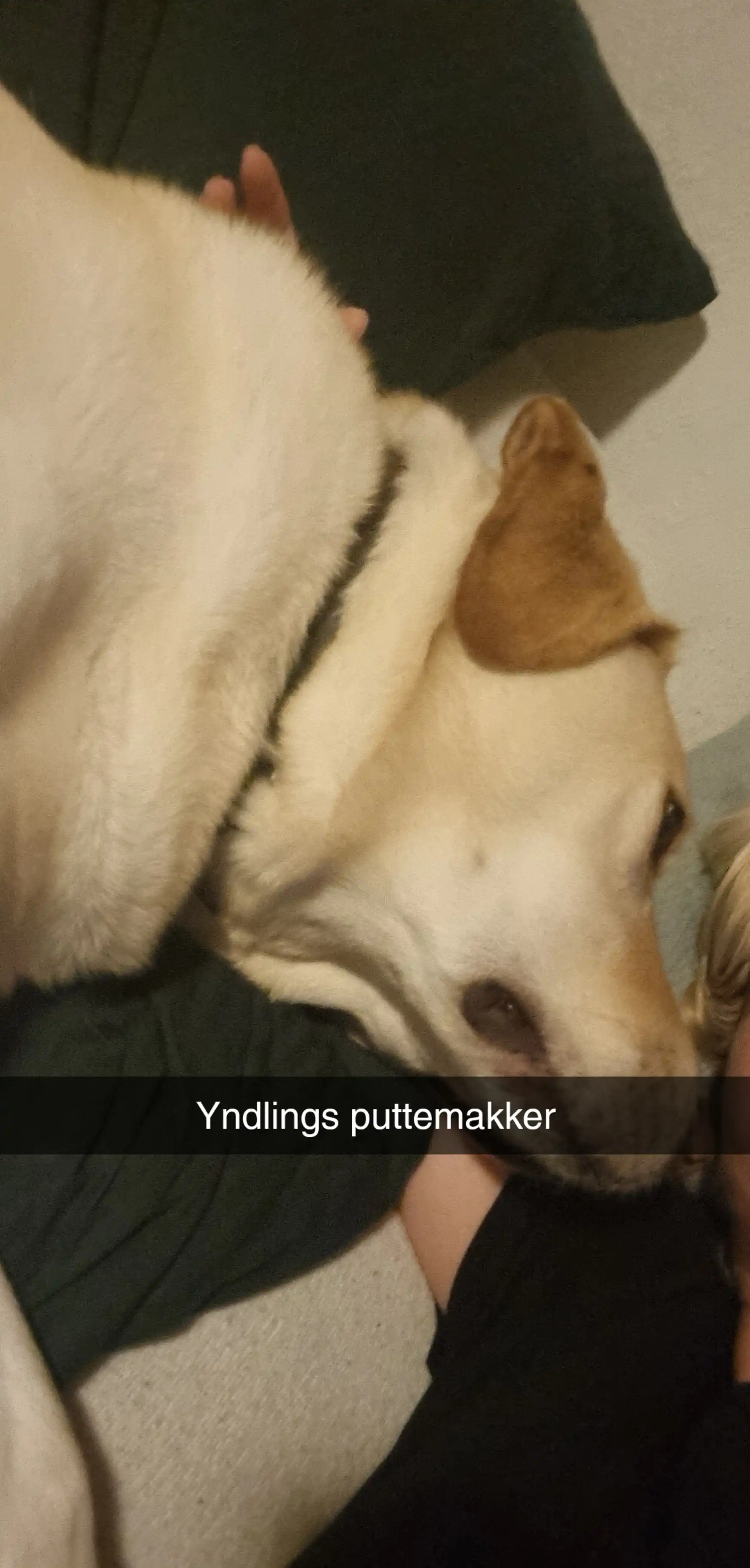 image-6