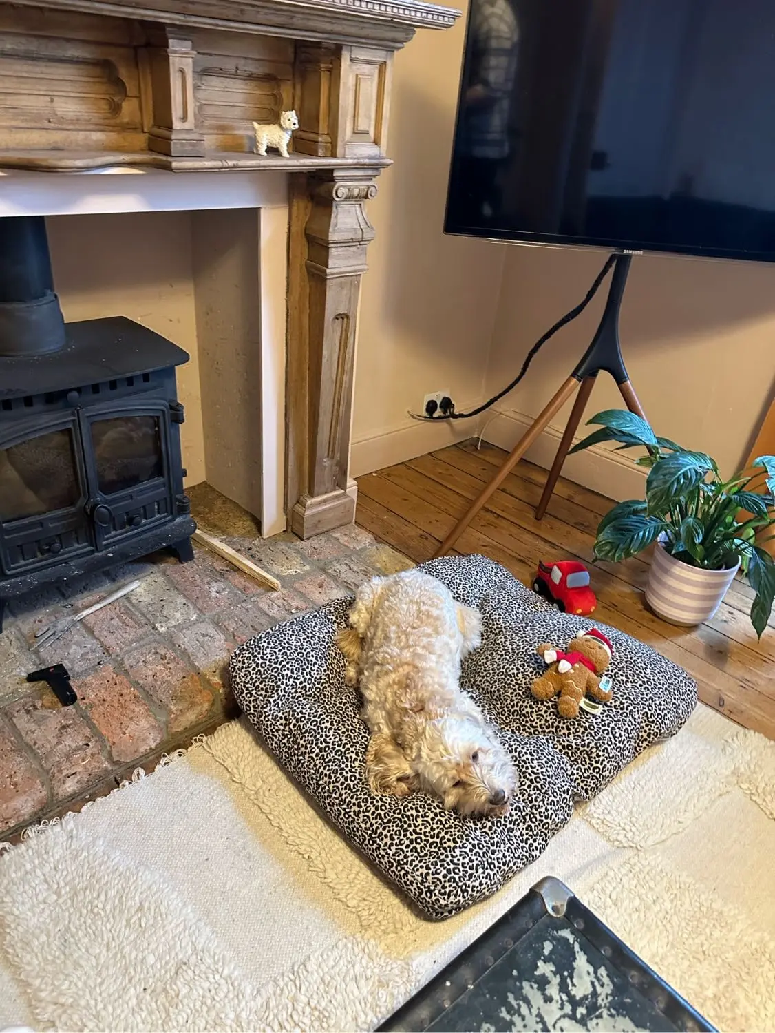 image-3