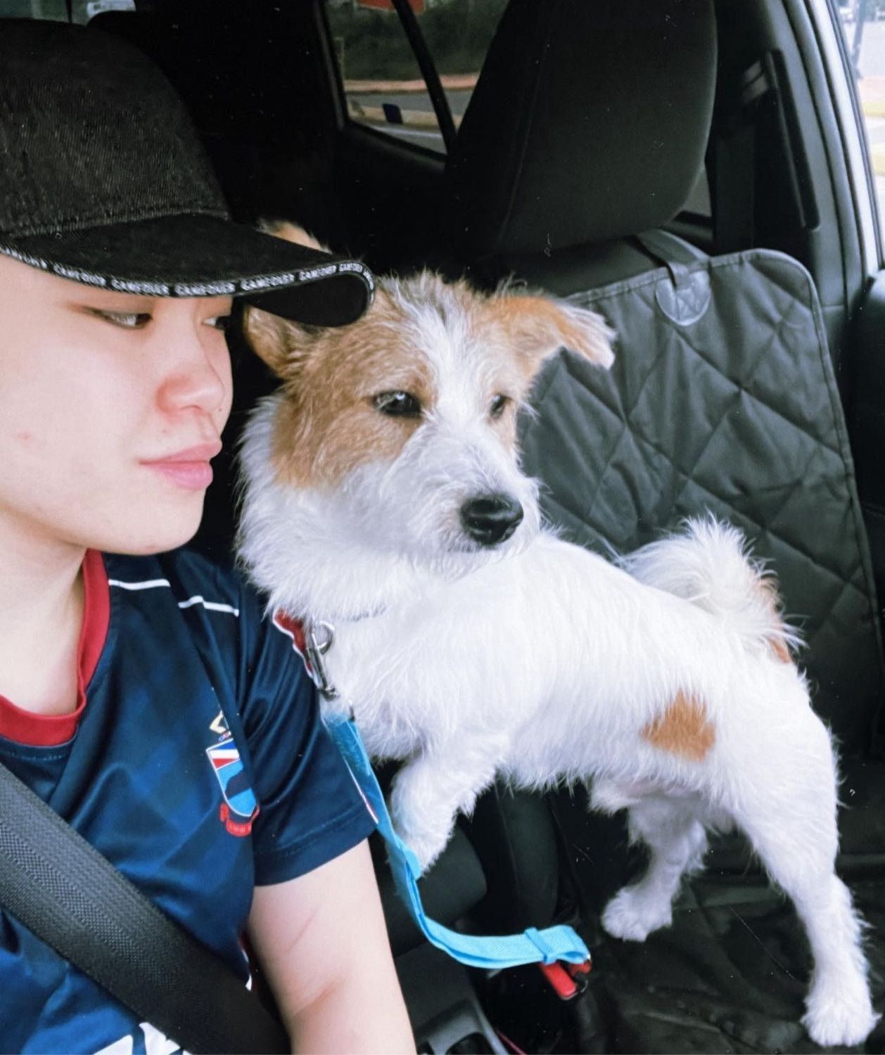 image-8