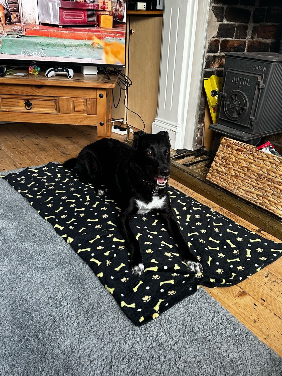 image-19