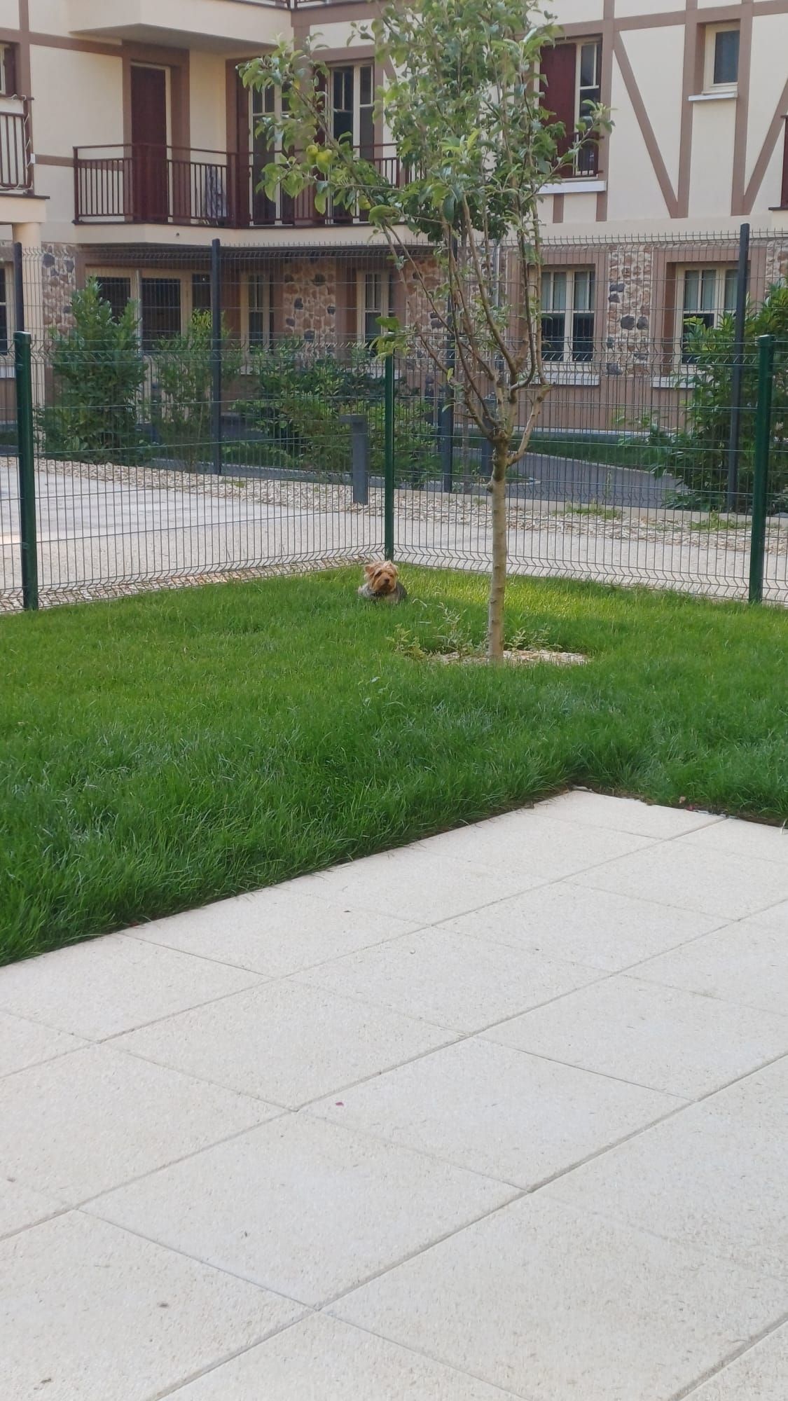 image-4