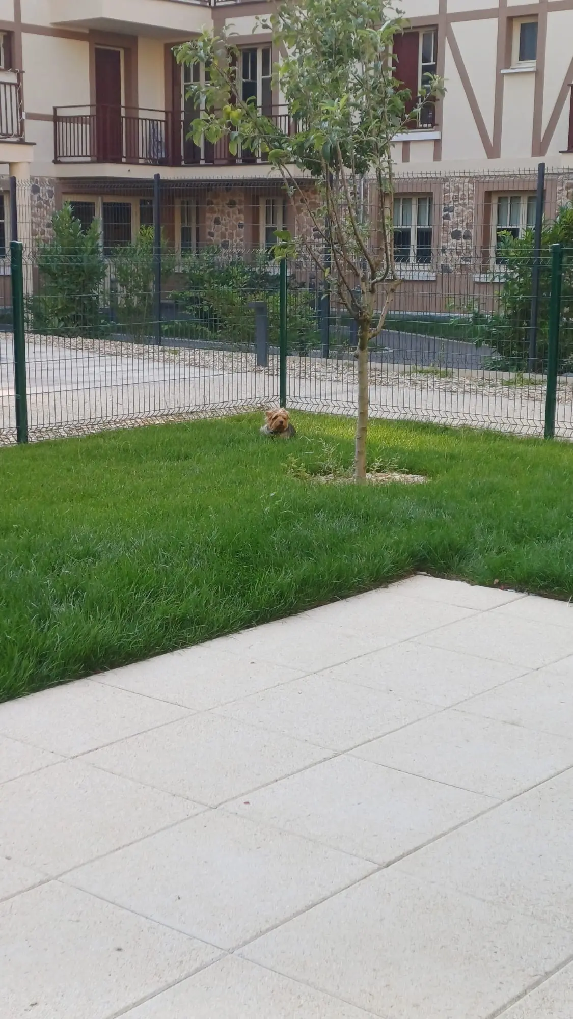 image-4