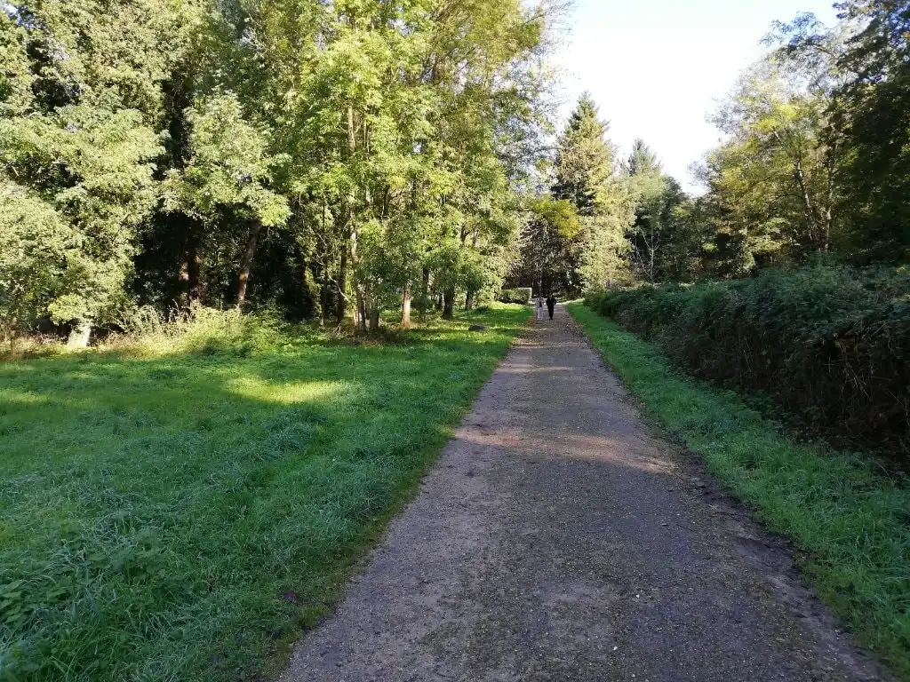 image-8