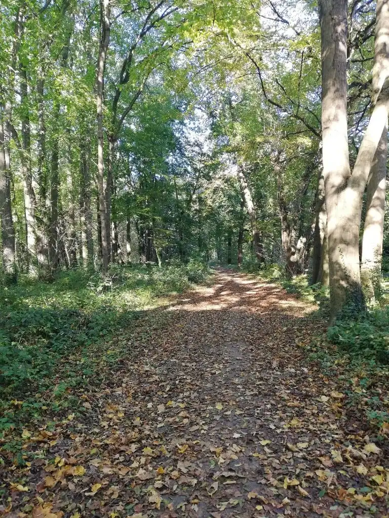 image-9