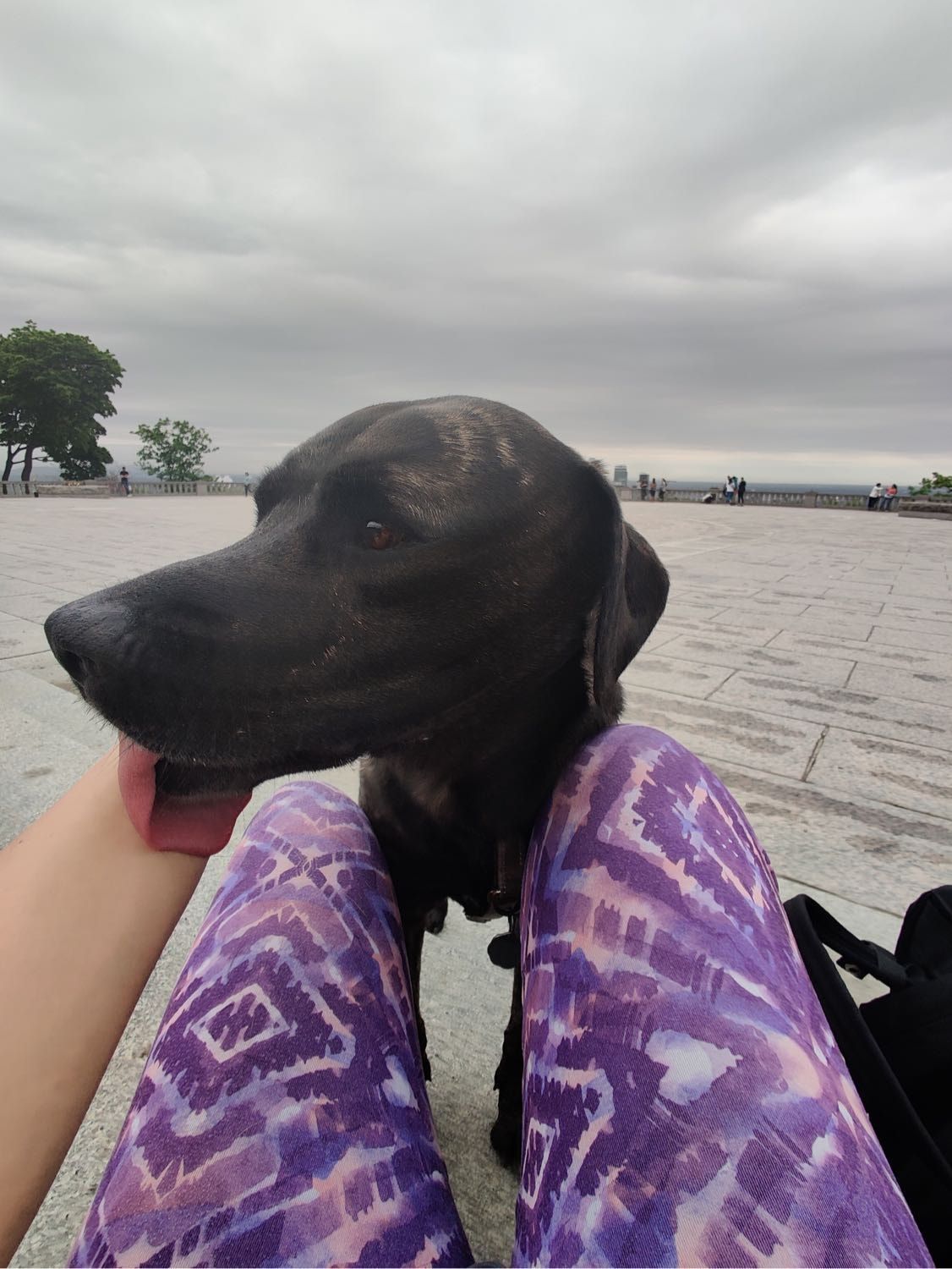 image-7