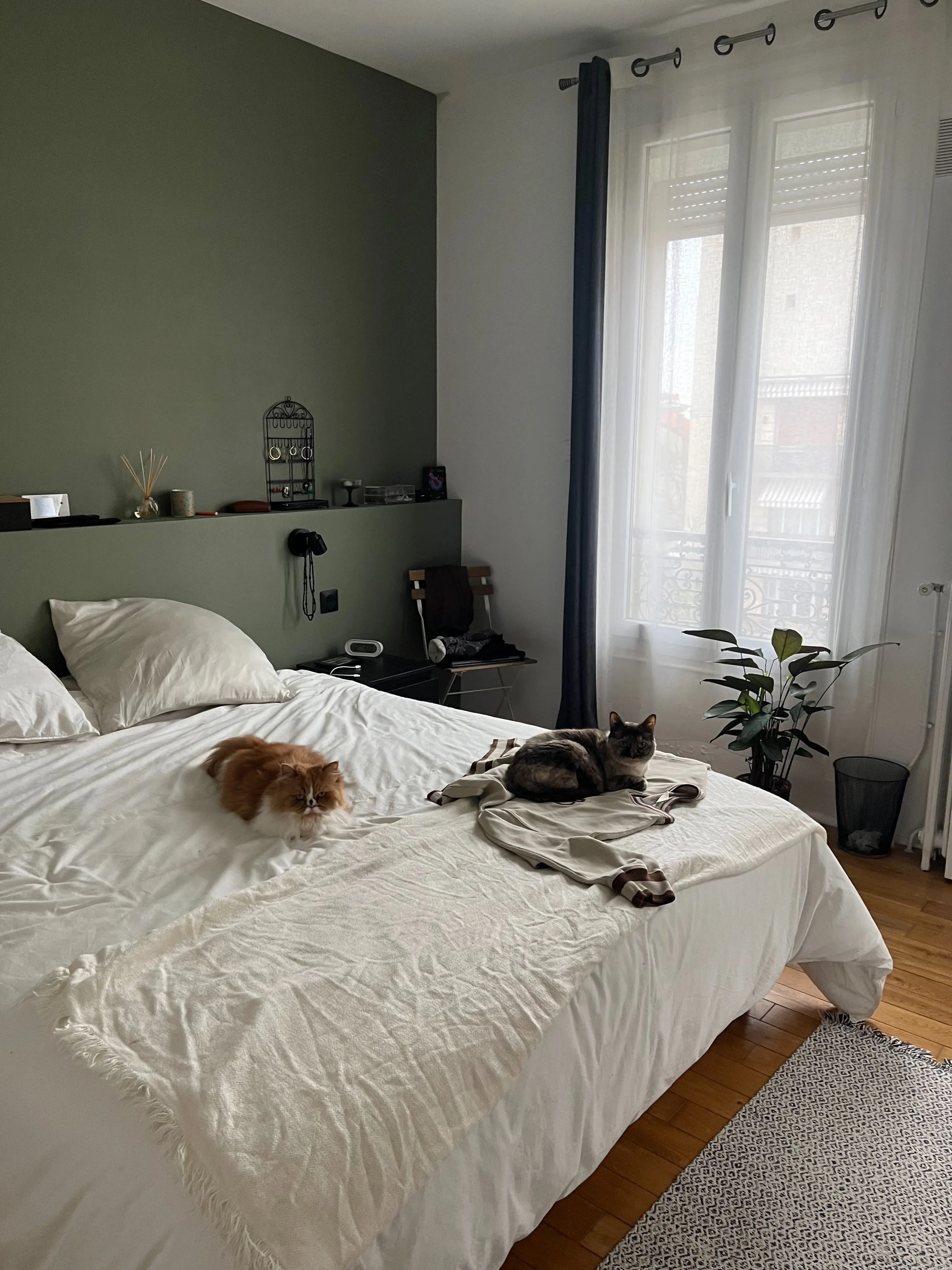 image-4