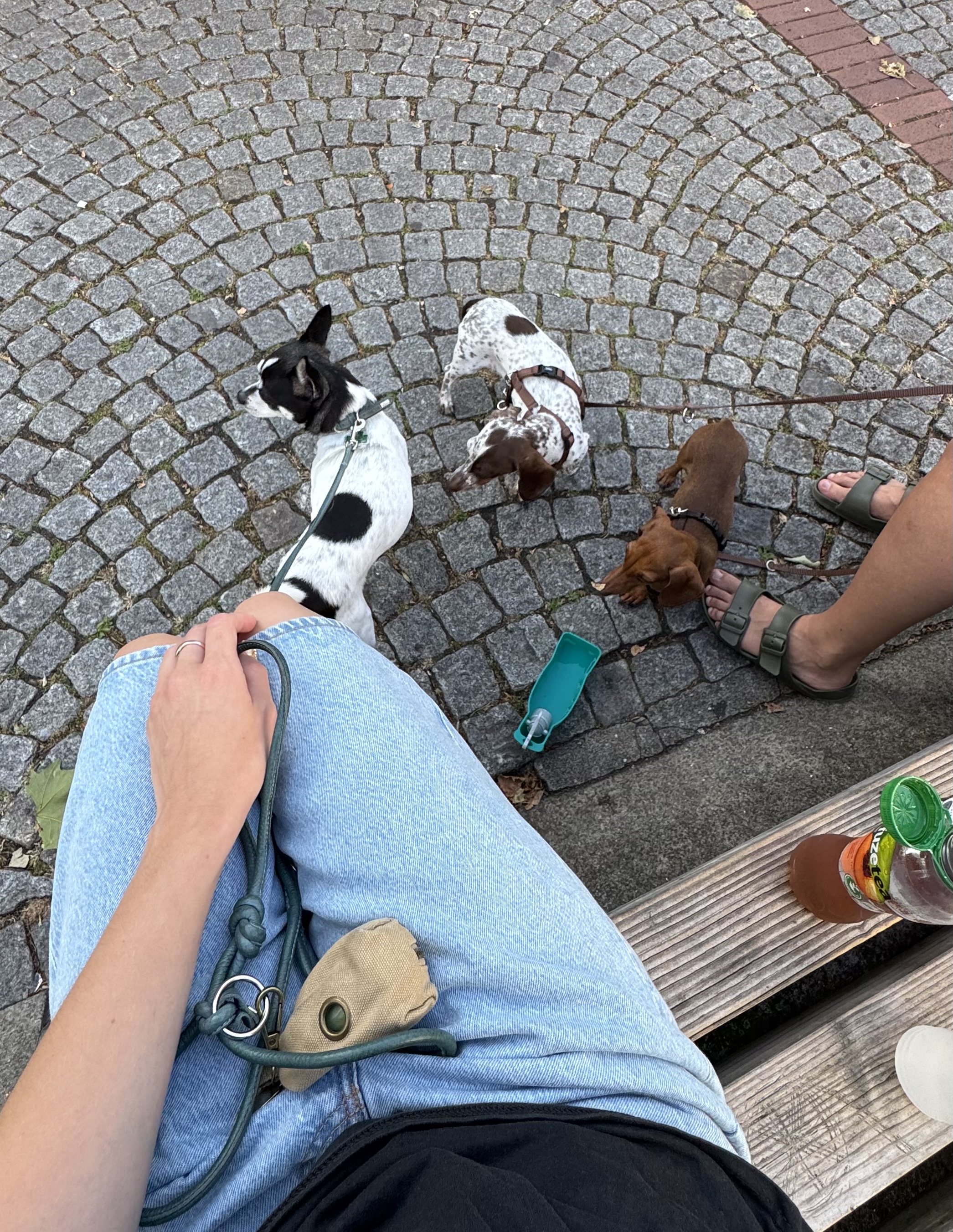 image-5