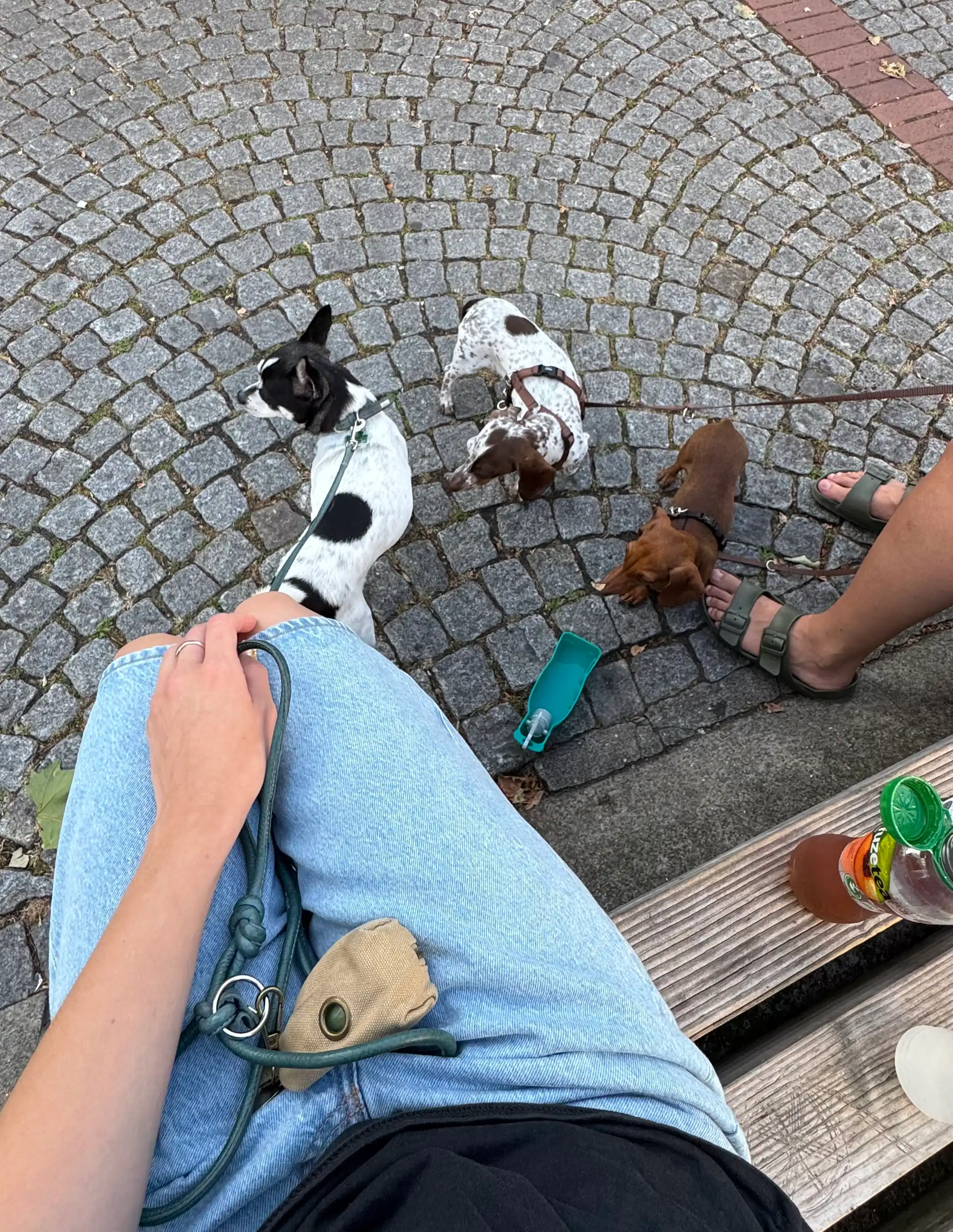 image-5