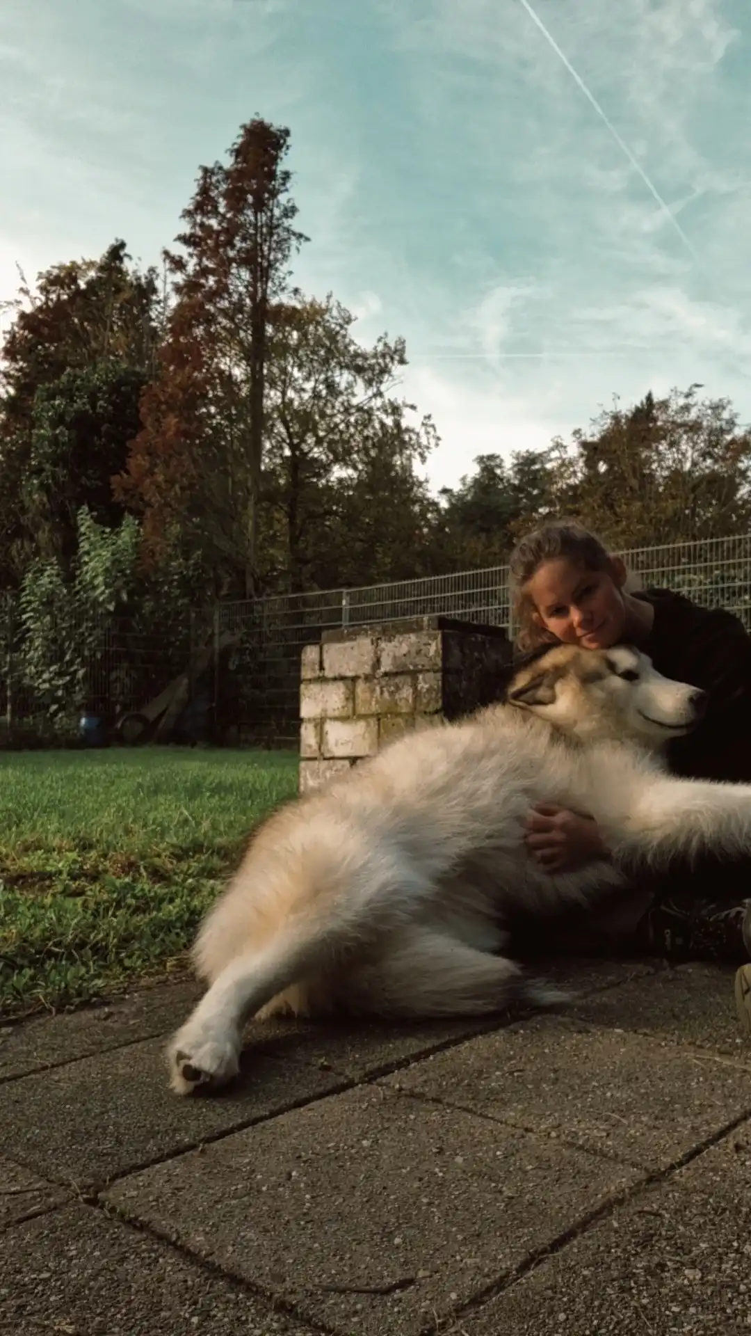 image-8