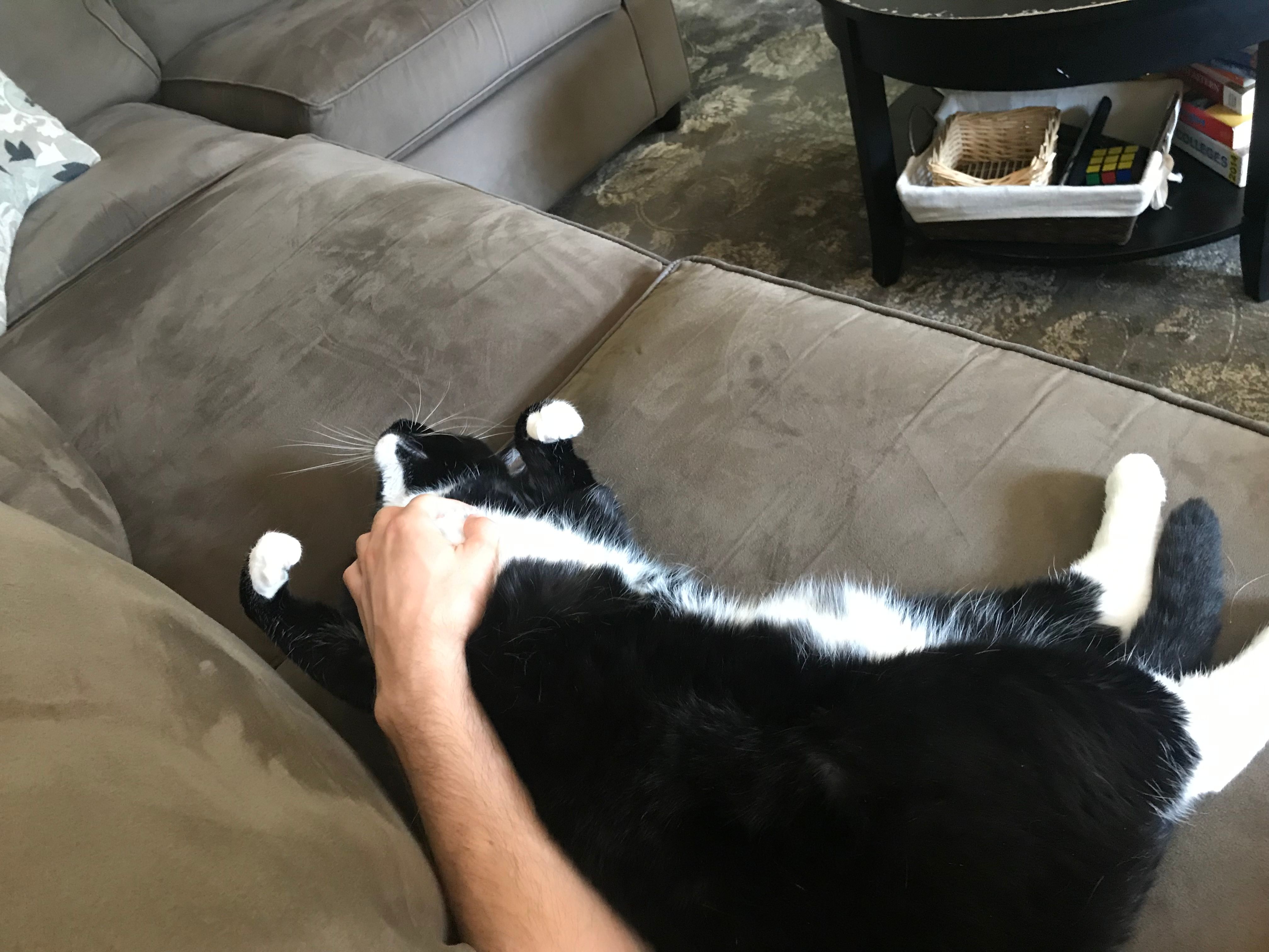 image-12