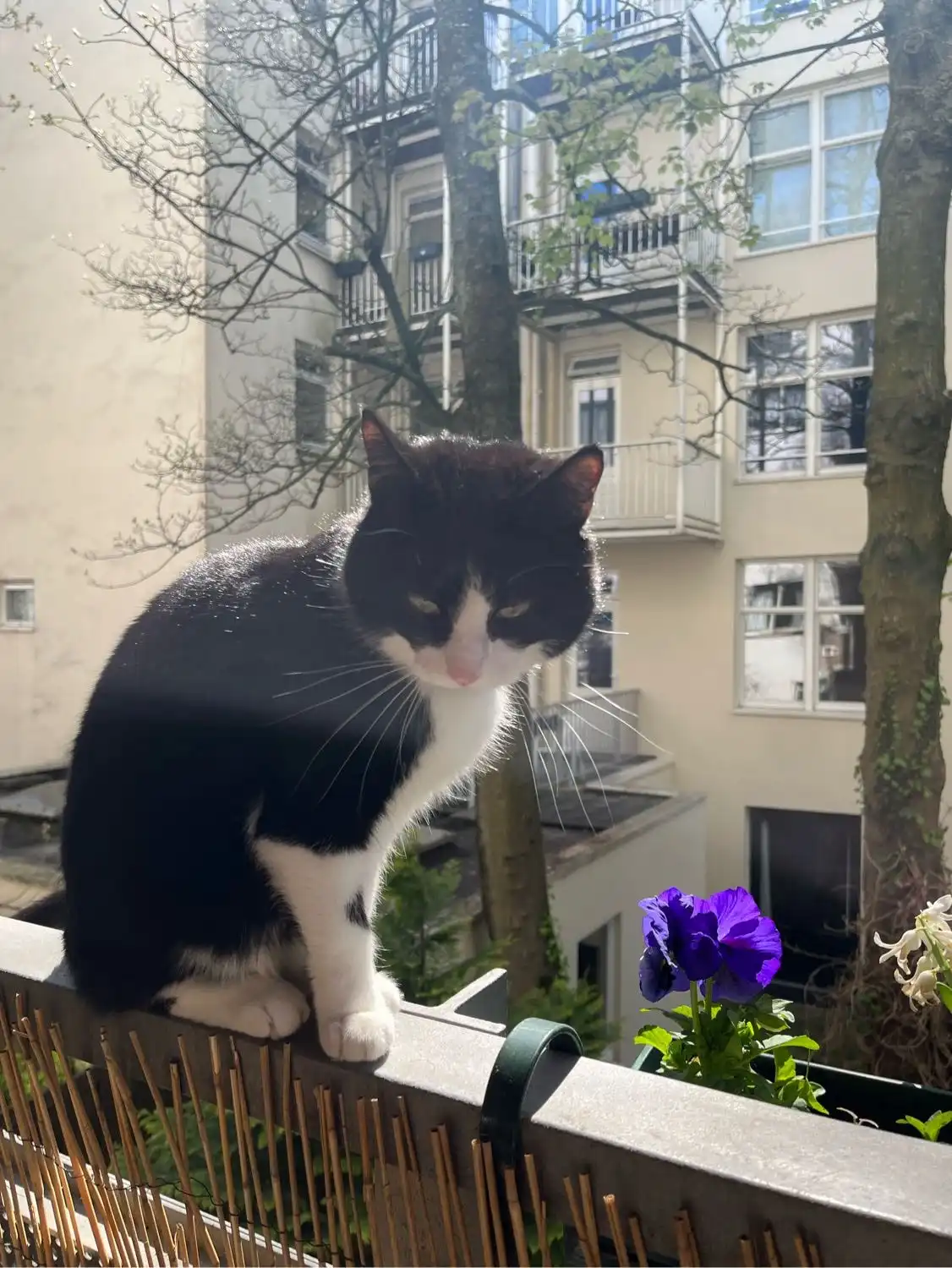 image-6