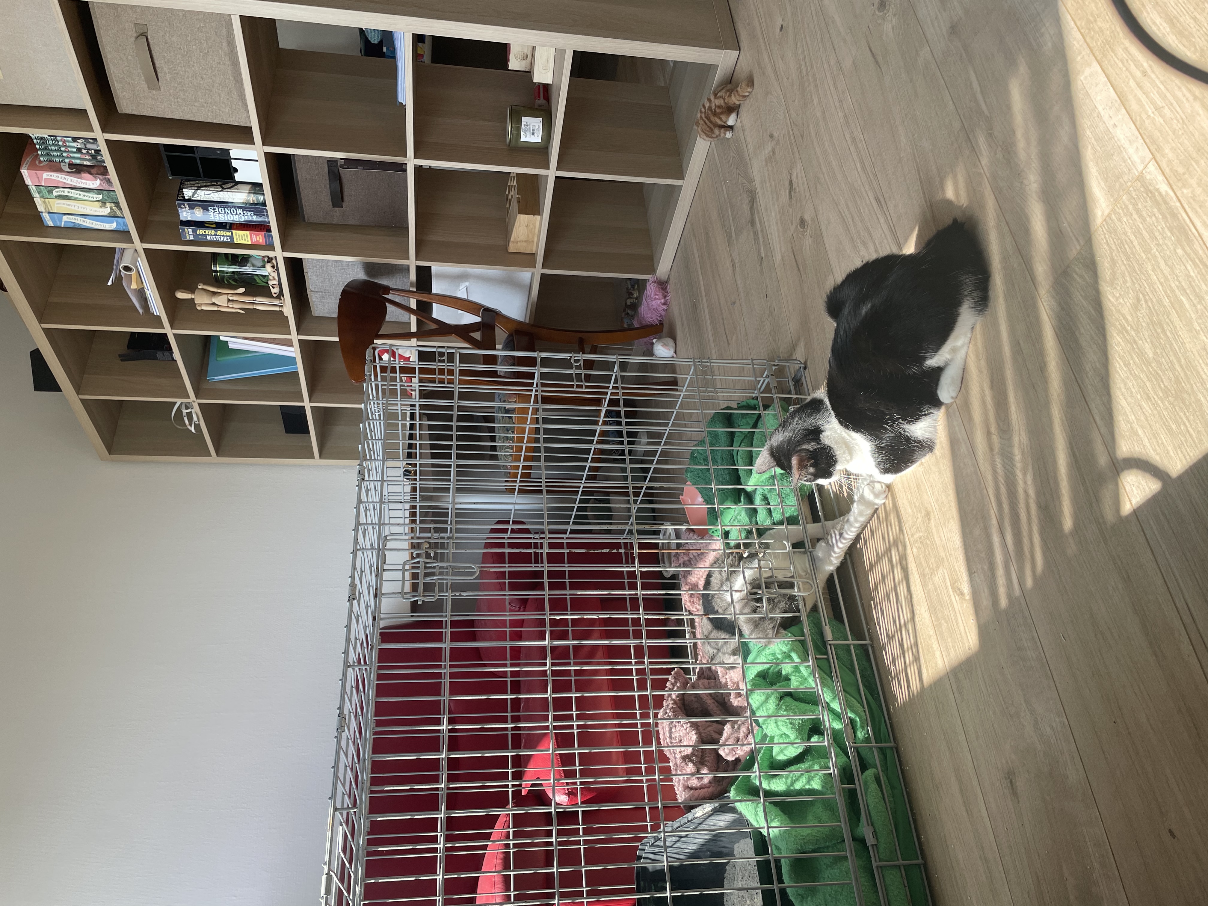 image-10