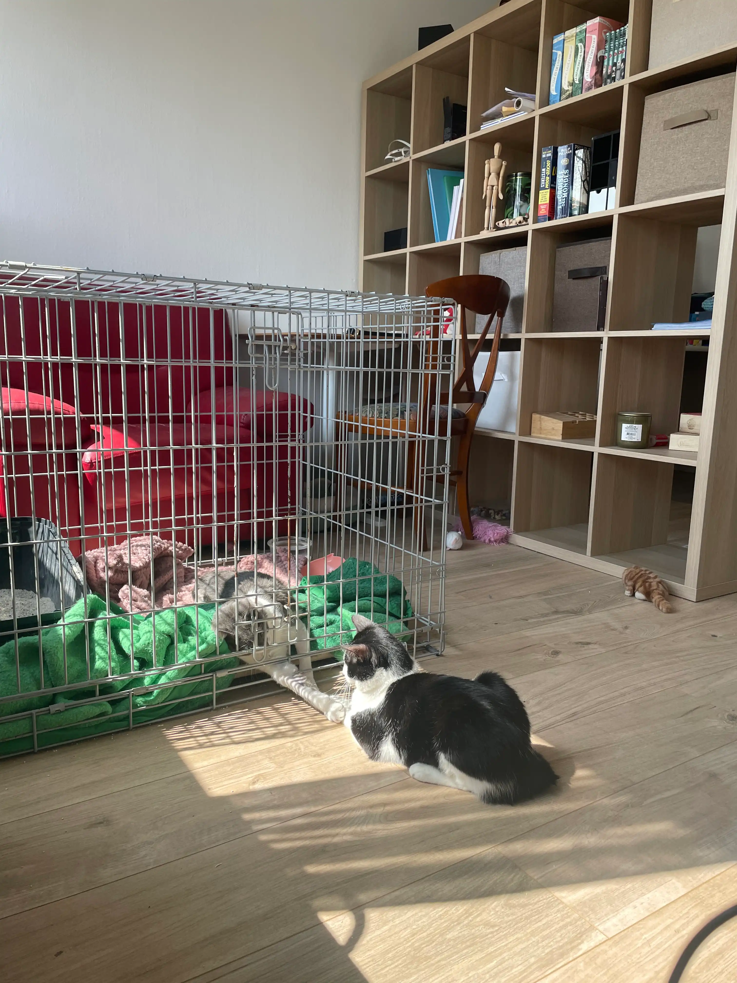 image-10