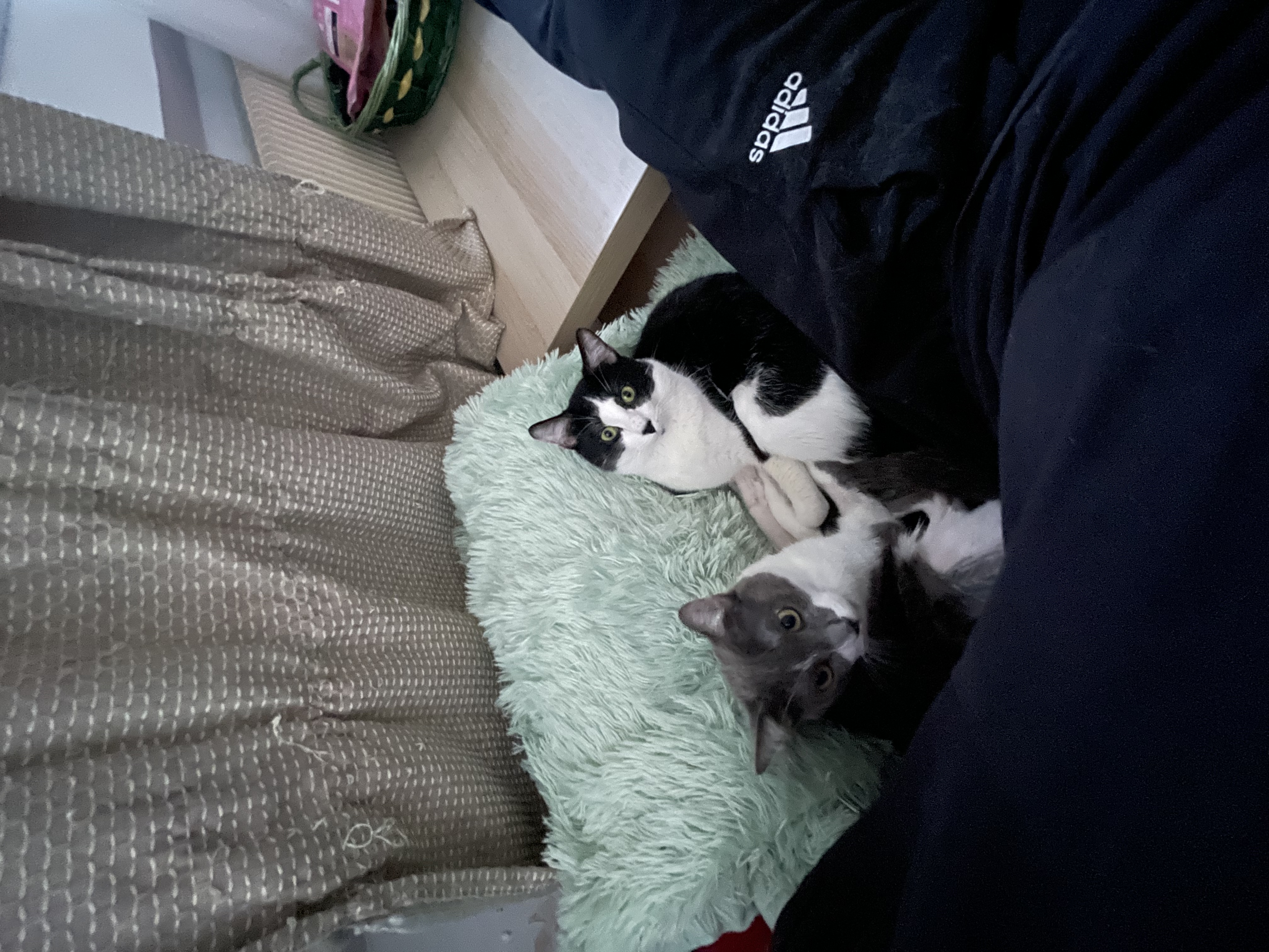 image-3