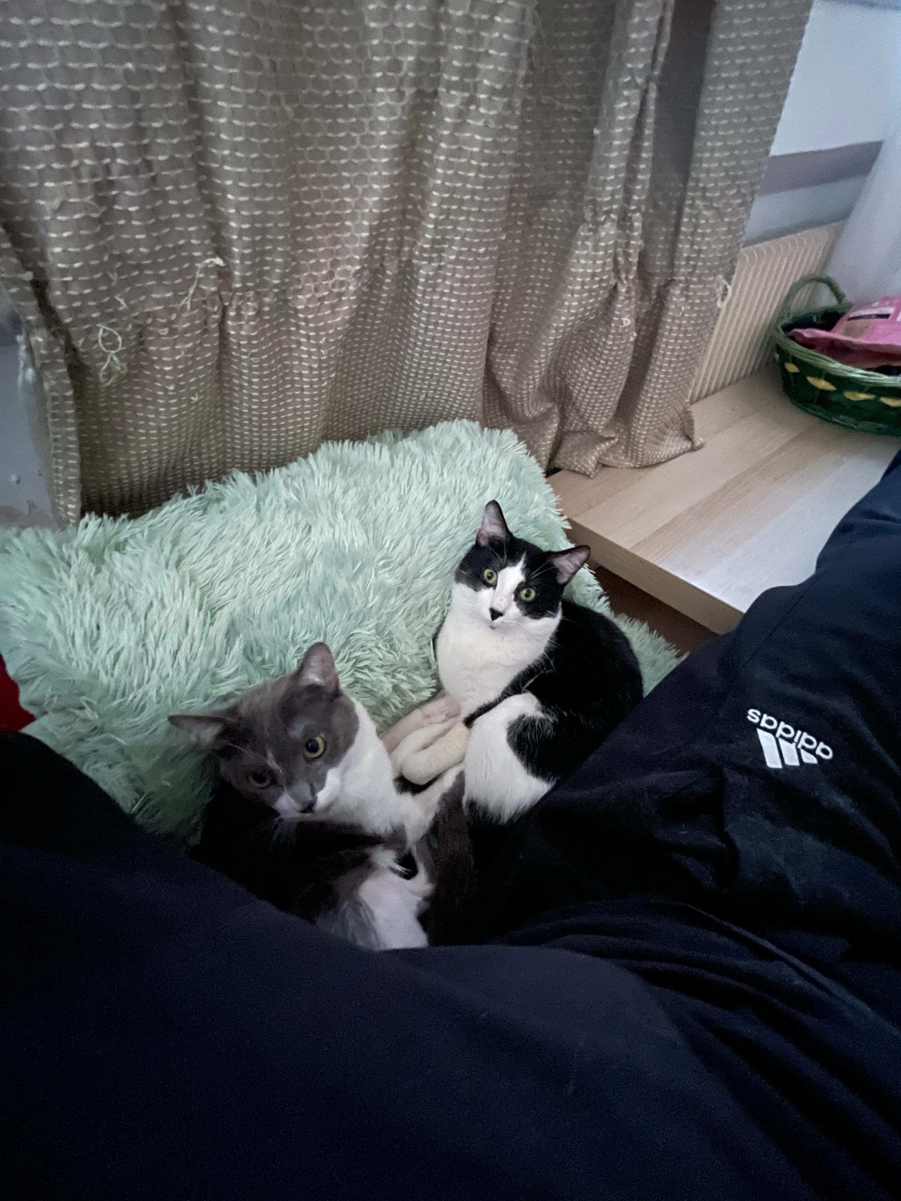 image-3
