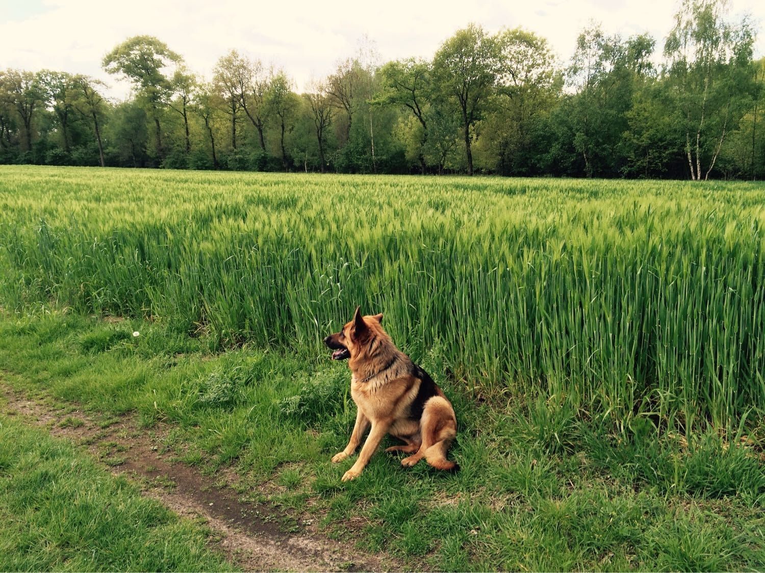 image-5
