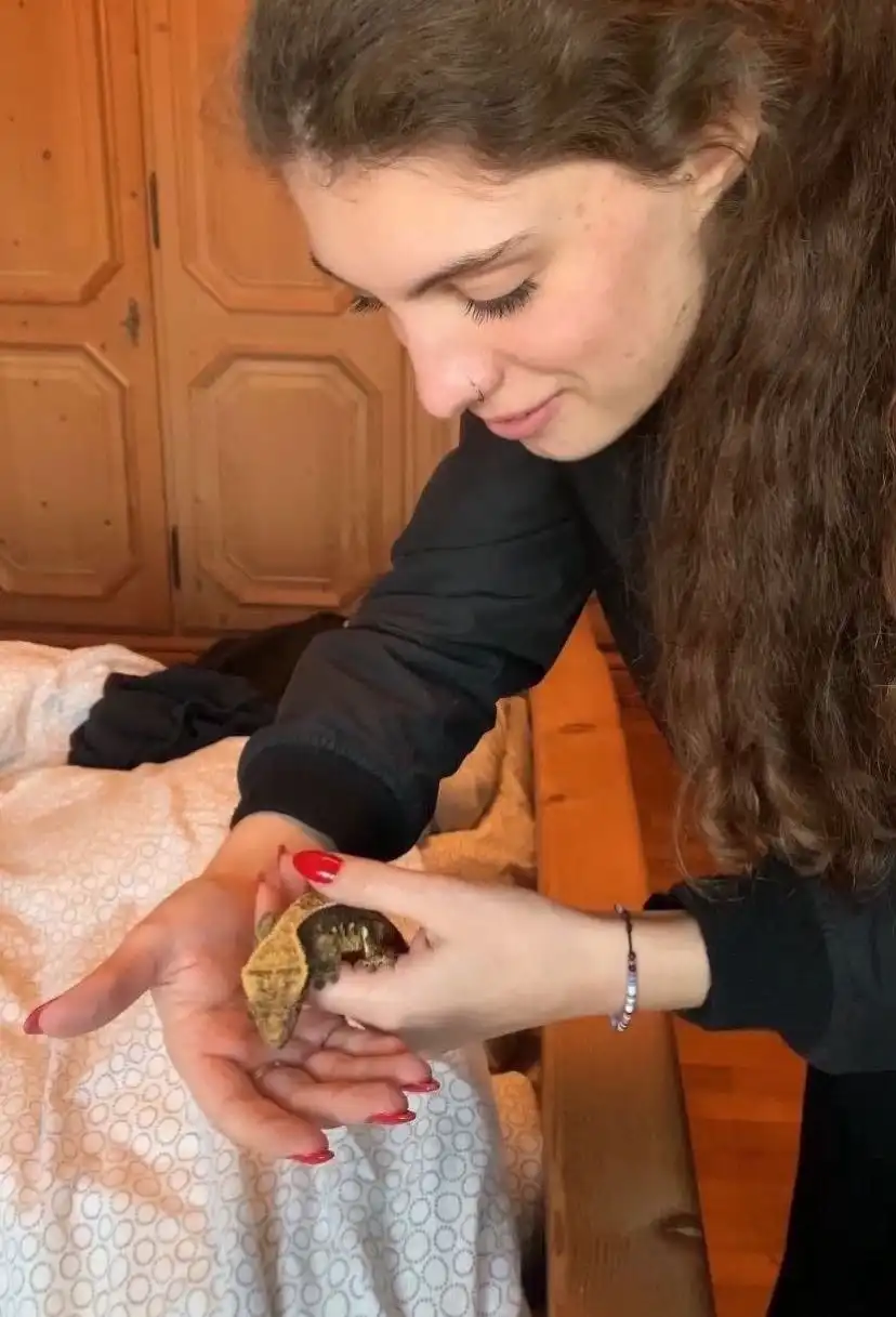 image-10