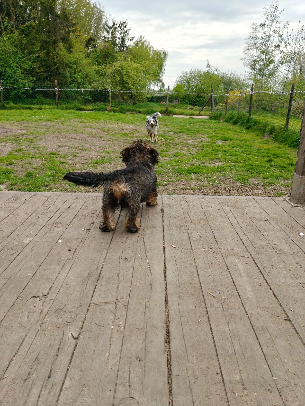 image-27
